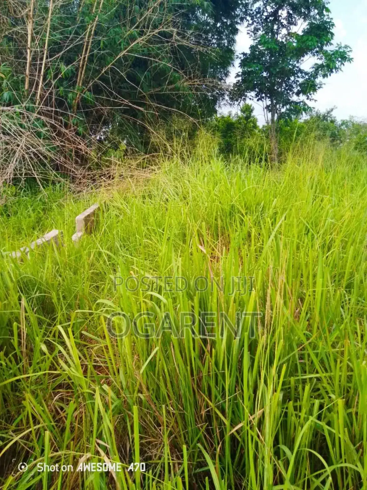 Land Measuring 100*100 at Egba