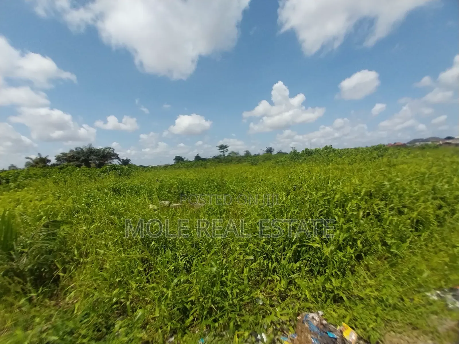 Half Plot With Demolishable Off Foursqure Orisumbare