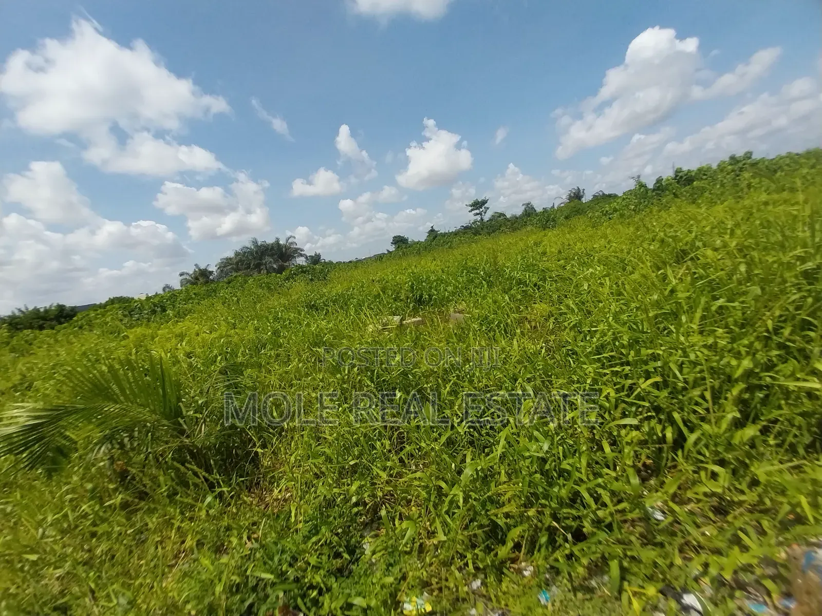 600sqm Full Plot With Demolishable Air Force Shasha Akuwonjo
