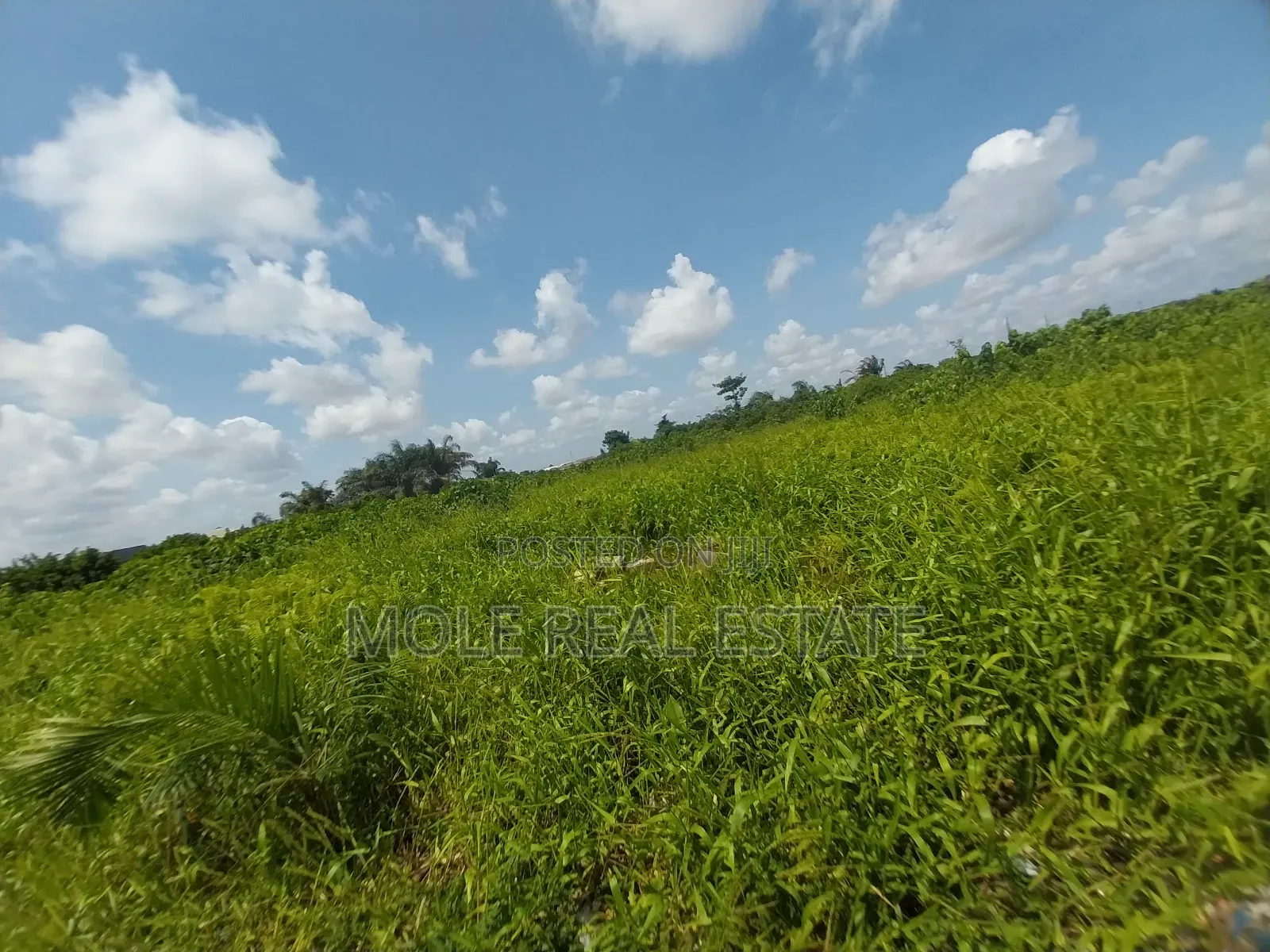 700sqm Fenced Gated ( Roi)Facing Oba Akran Way Ikeja