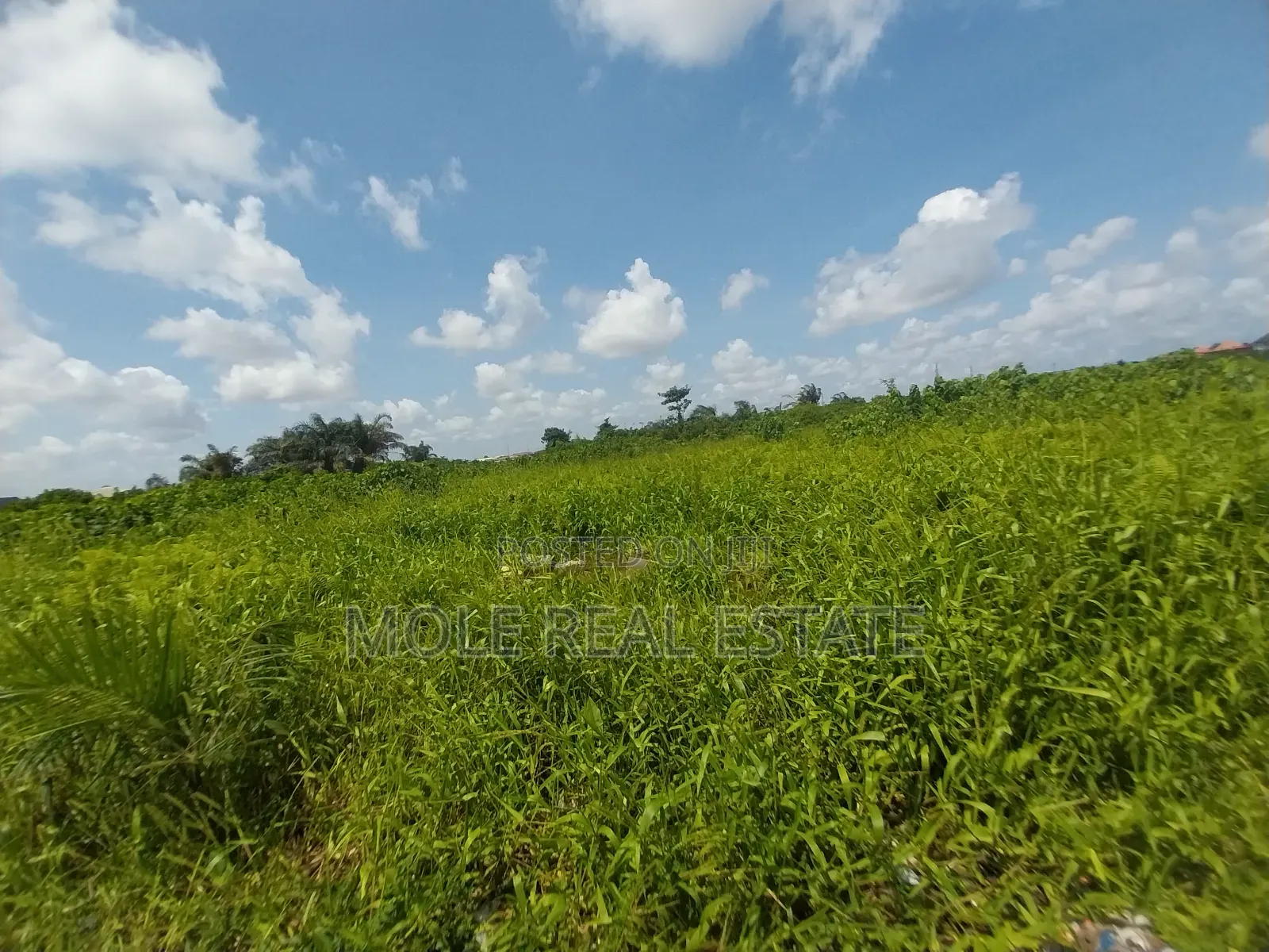 700sqm Fenced Gated ( Roi)Facing Oba Akran Way Ikeja