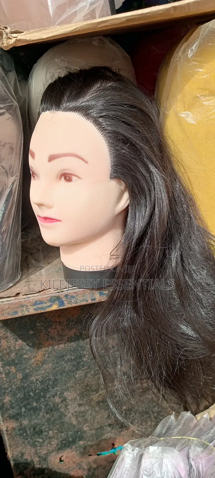 Mannequin Dummy Head With Hair