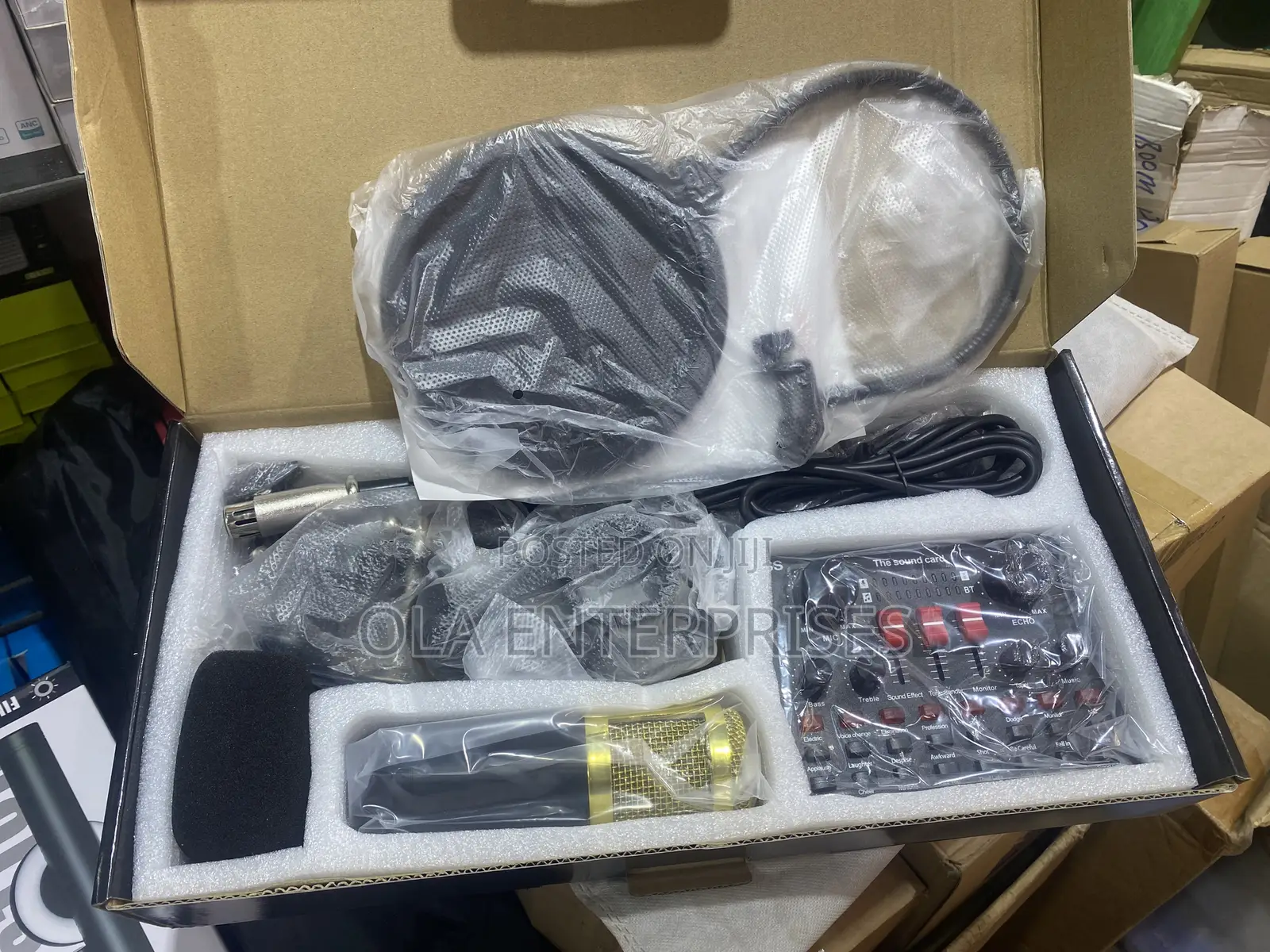 Professional Condenser Microphone