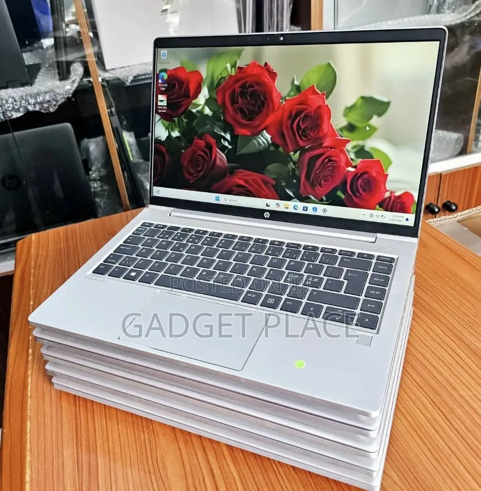 Laptop HP ProBook 445 G9 8GB AMD Ryzen 5 SSD 256GB
