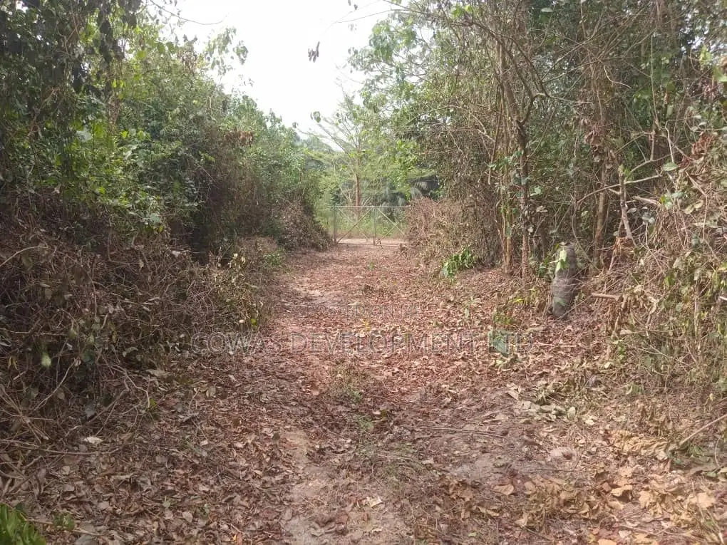 Cash-Ready Buyer Only - 128.5 Plots of Fenced Land in Epe