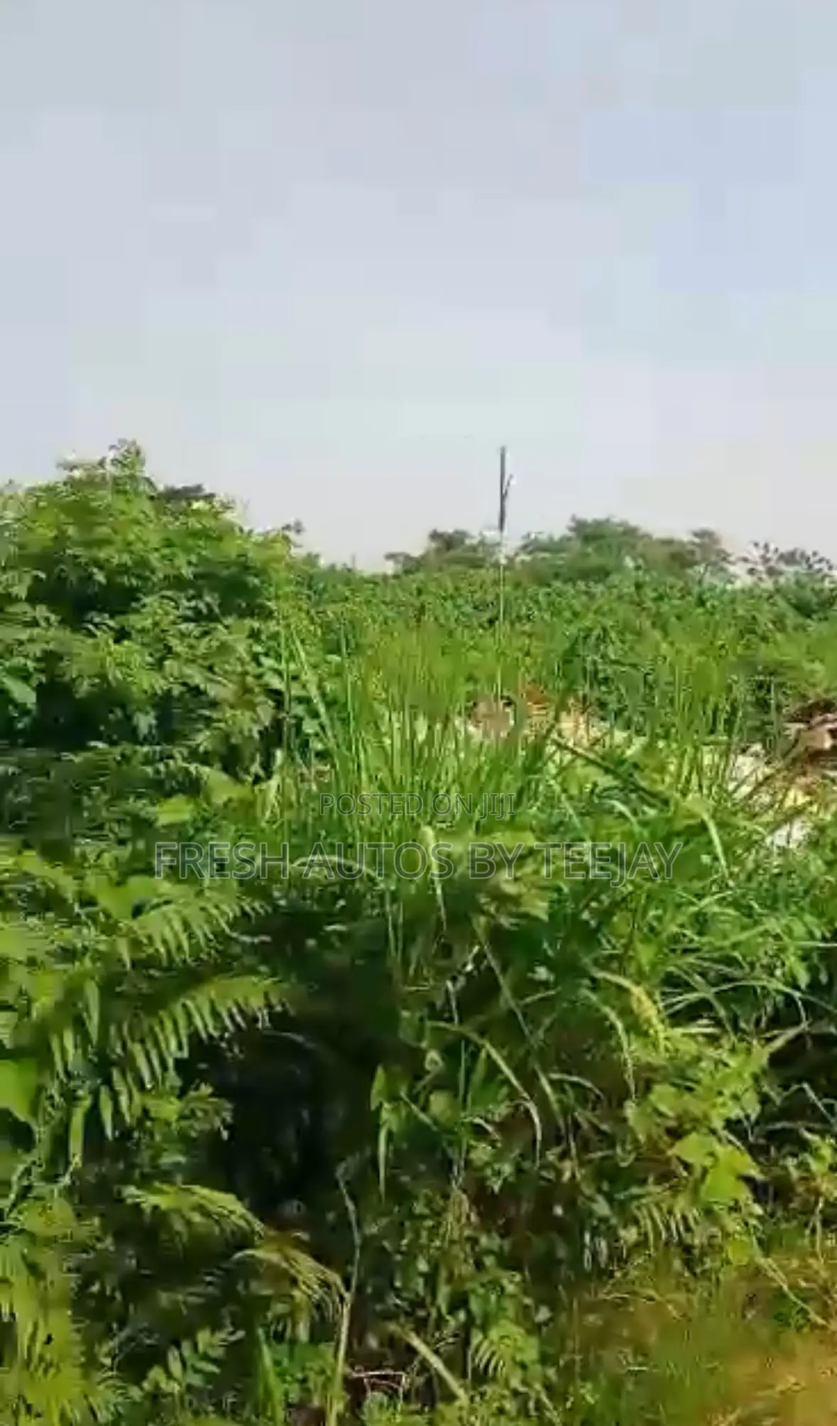 Land for Joint Venture Development! 