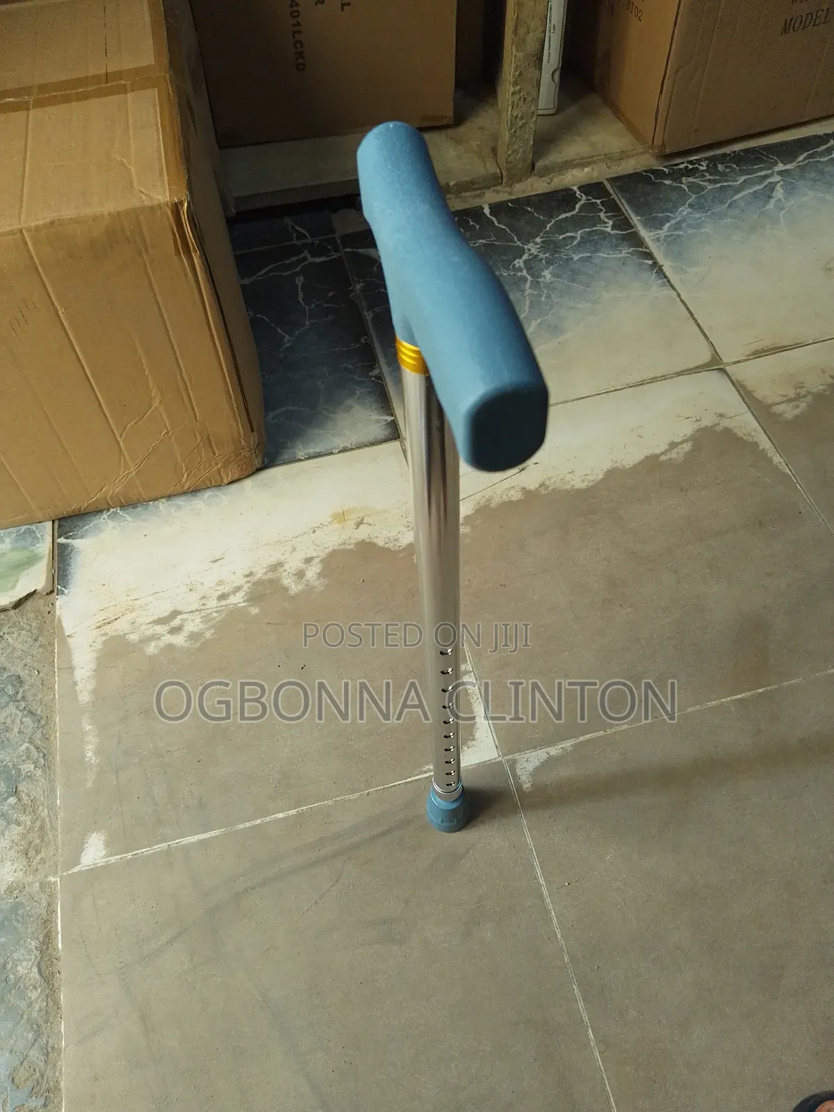Walking Stick