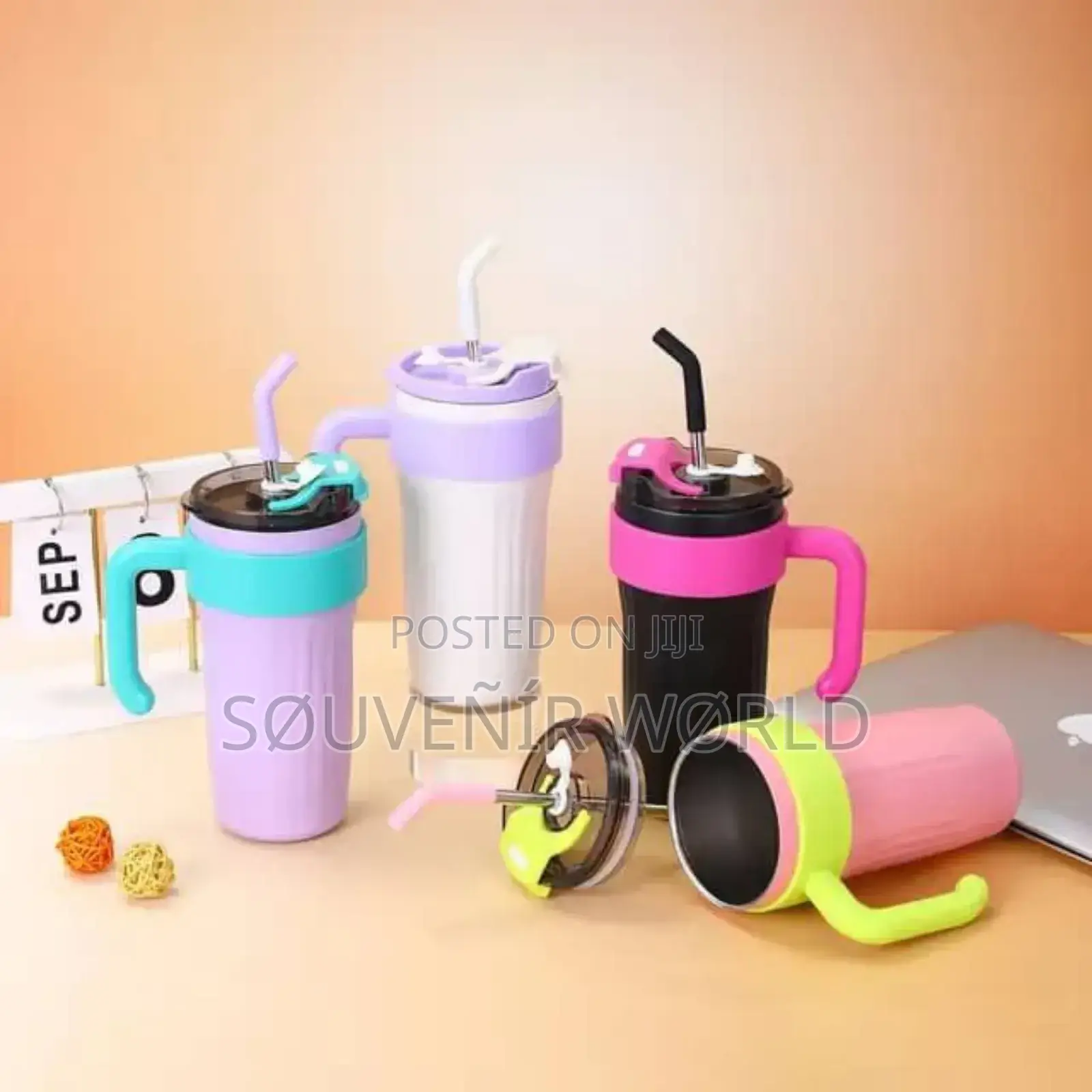 Vacuum Water Bottle With Straw 