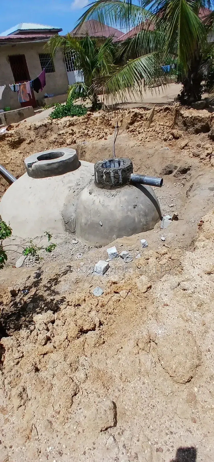 Biogas and Biodigester Energy