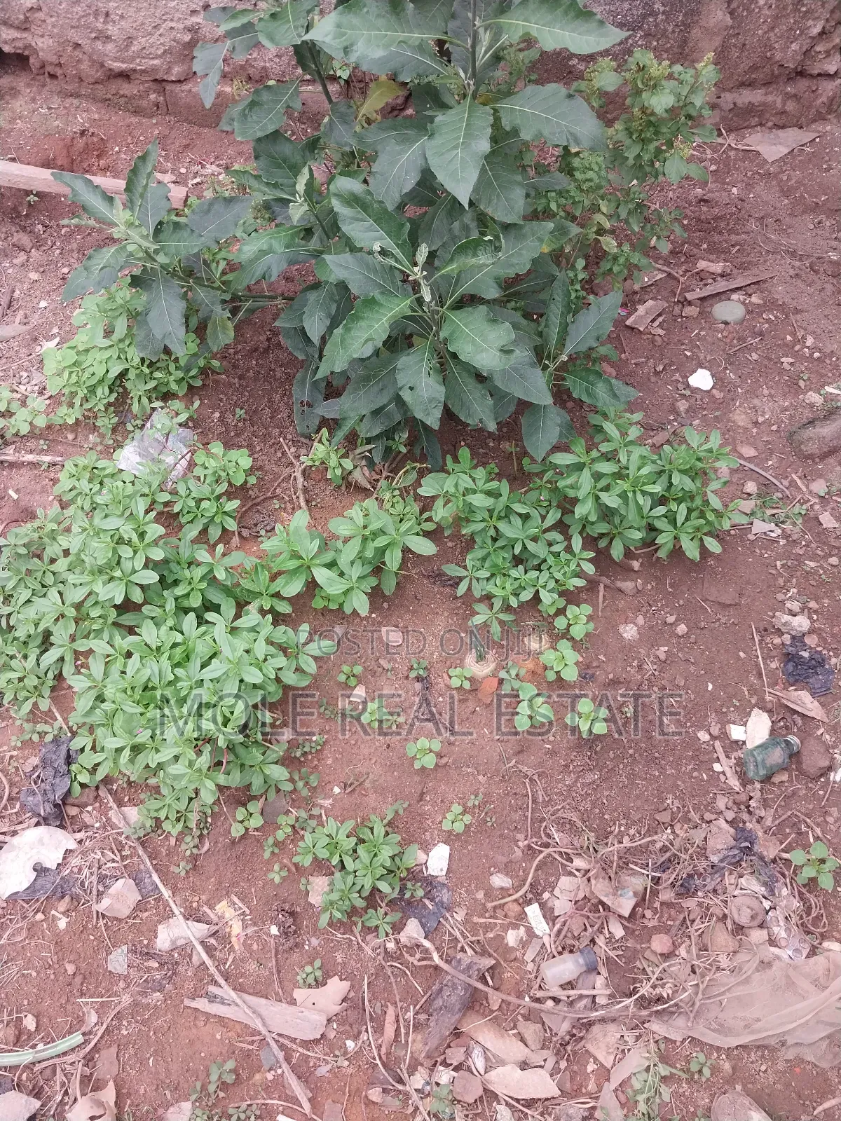 200 Plot Facing New Coastal Road Leki Lagos