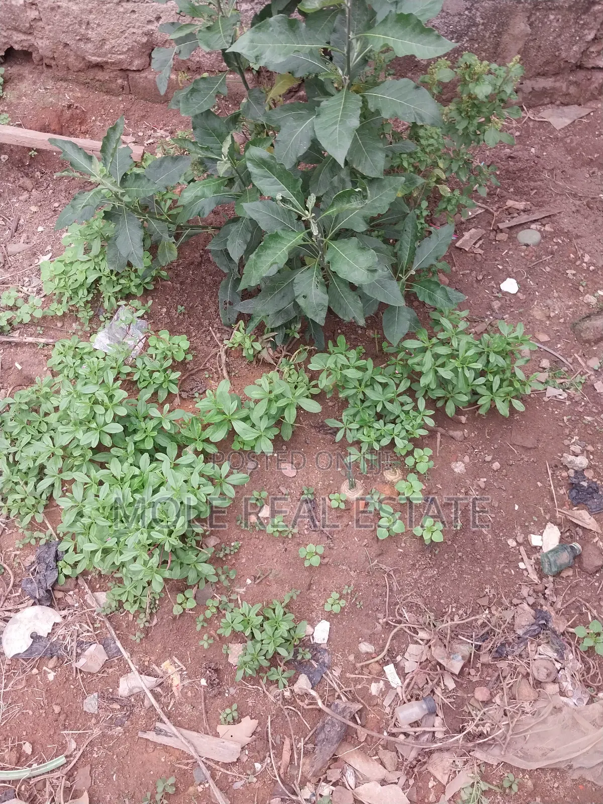 200 Plot Facing New Coastal Road Leki Lagos