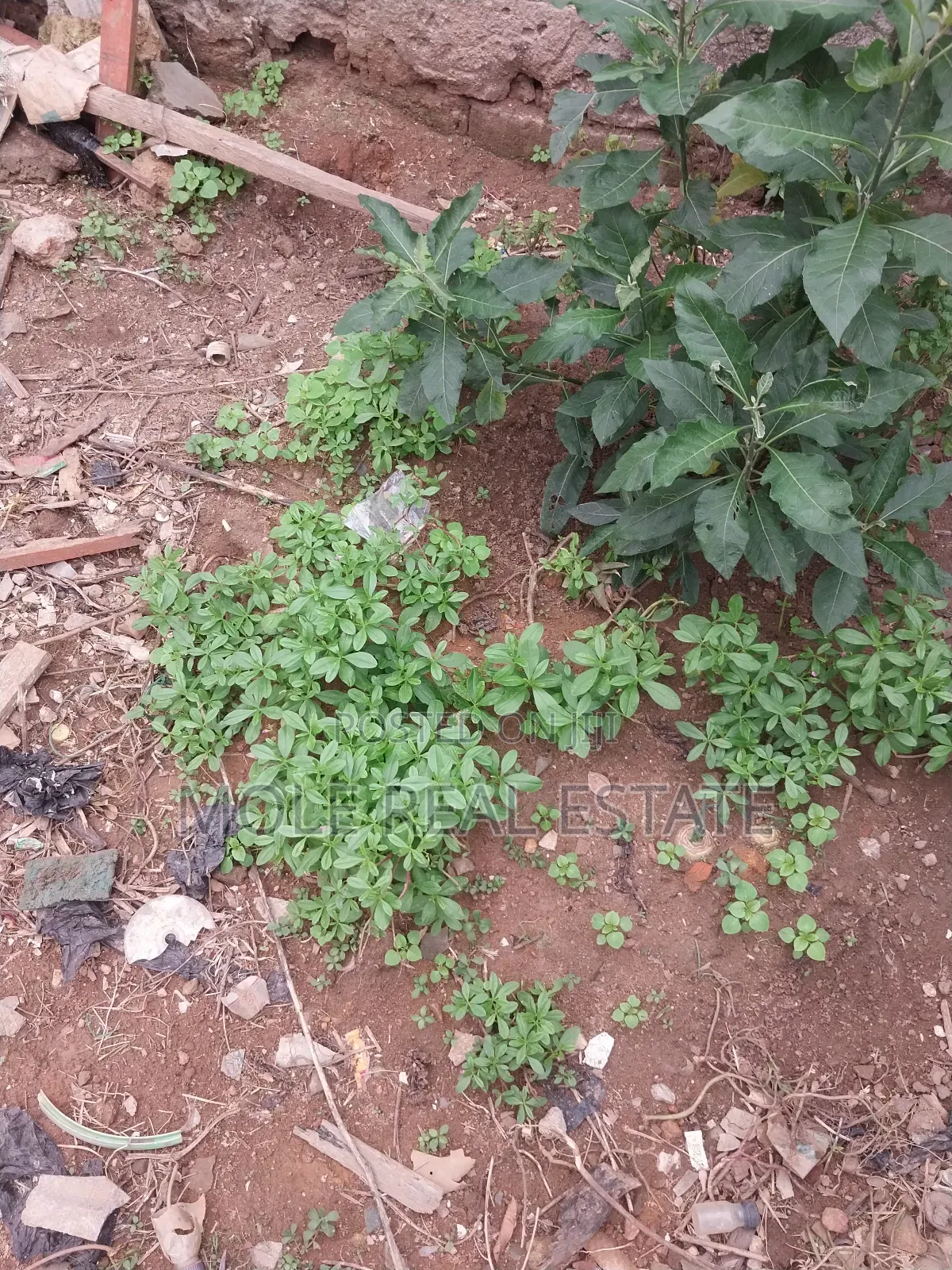 200 Plot Facing New Coastal Road Leki Lagos