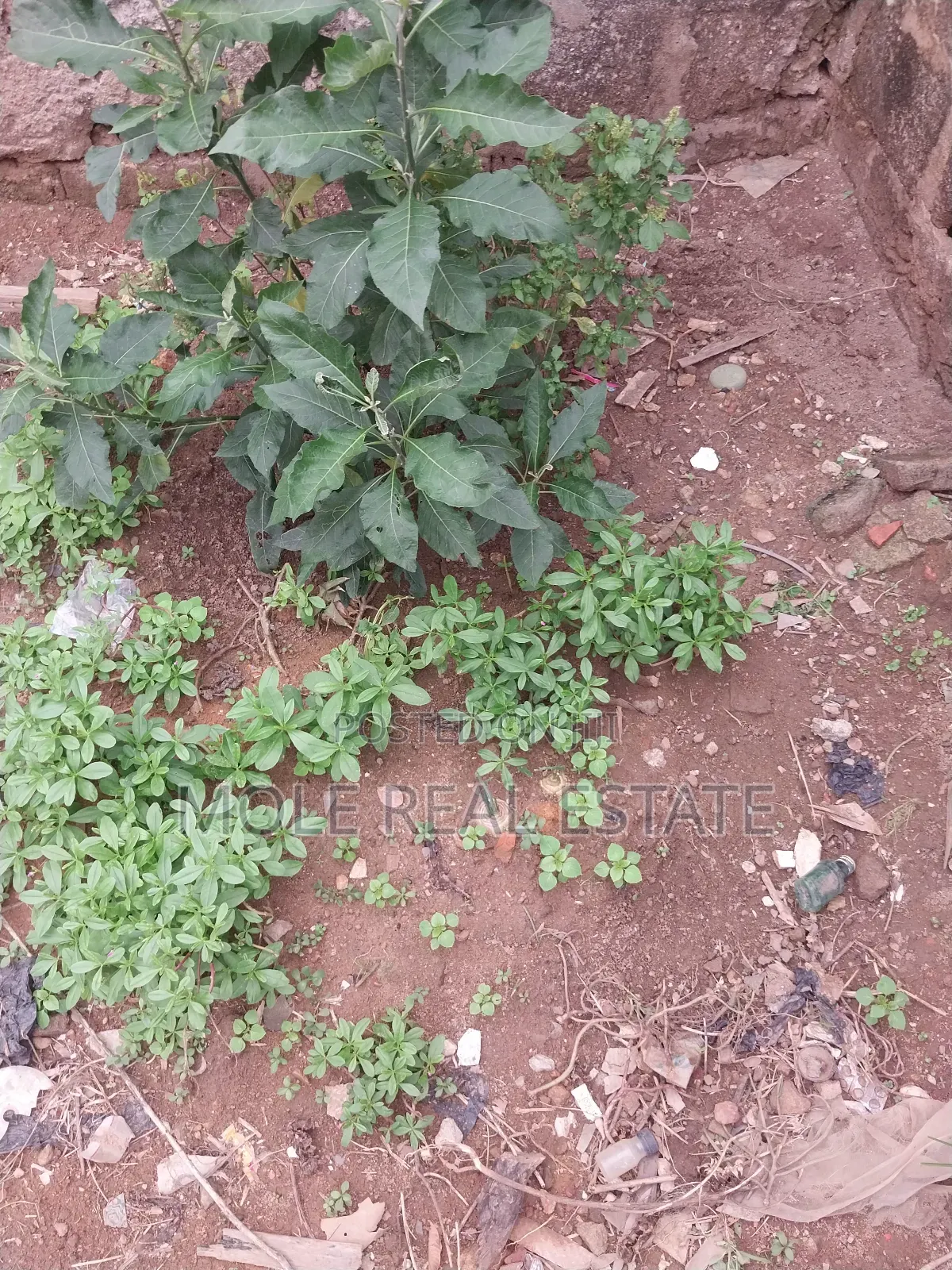 647sqm Joint Venture Aina Street Ojodu Ikeja
