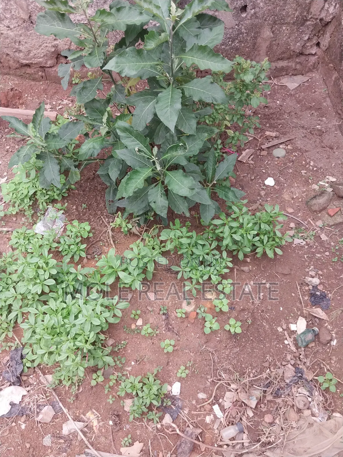 647sqm Joint Venture Aina Street Ojodu Ikeja