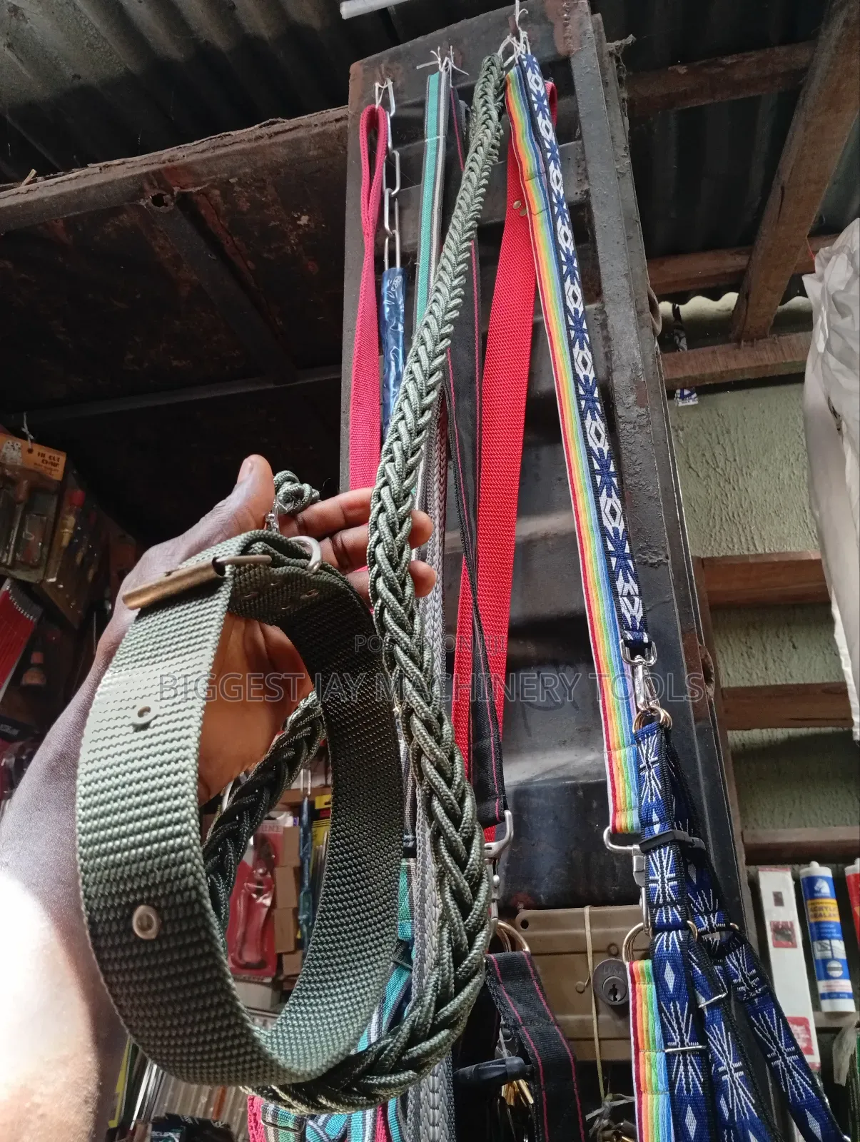 Dog Collars and Leashes