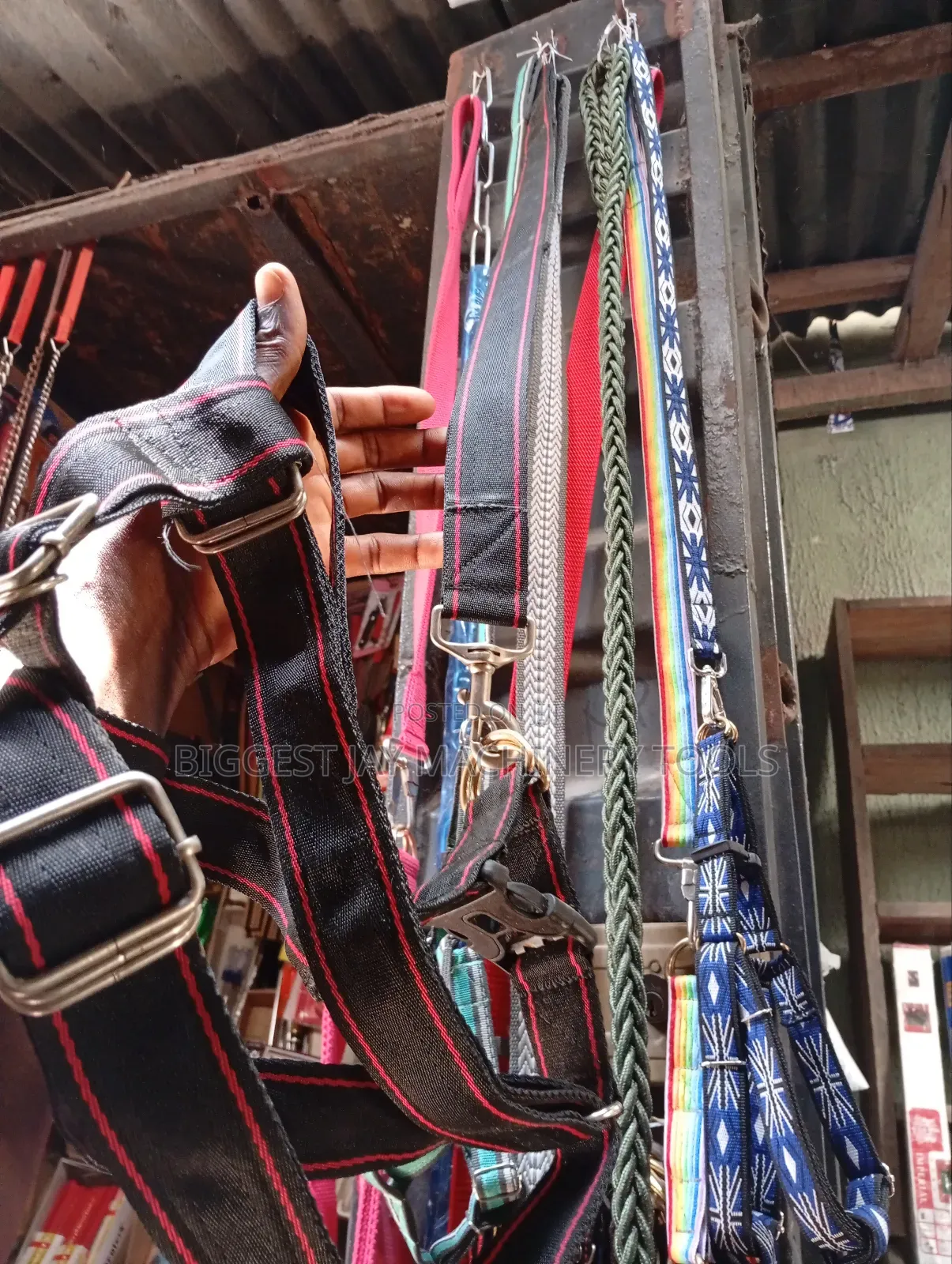 Dog Collars and Leashes