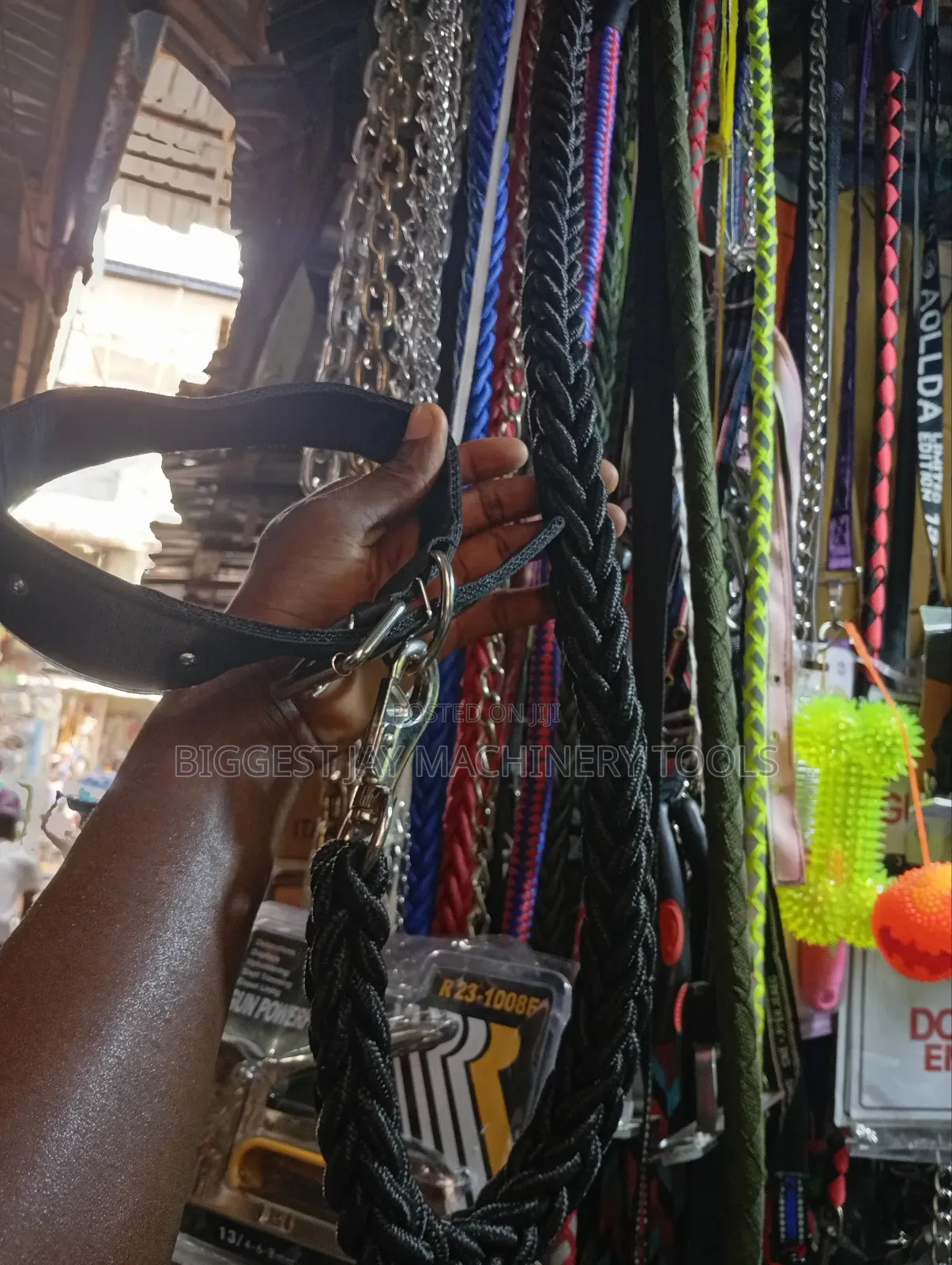 Dog Collars and Leashes