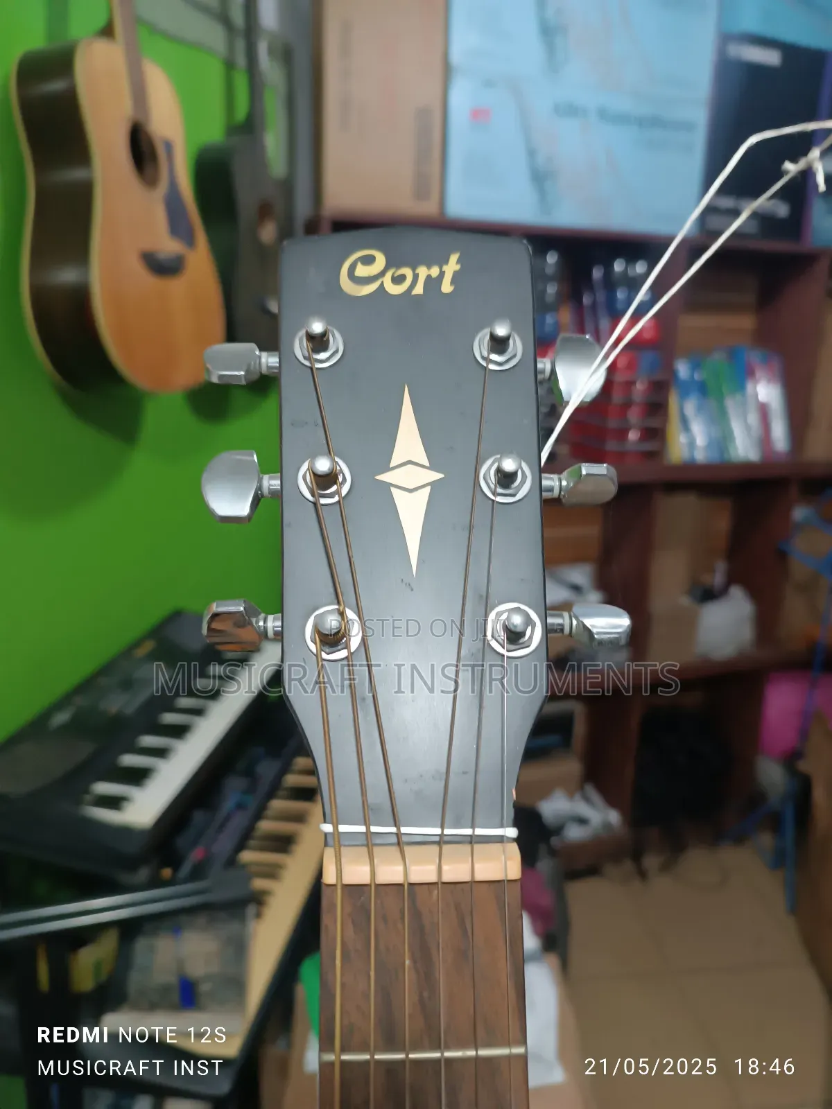 Cort Jumbo Sized Acoustic Guitar