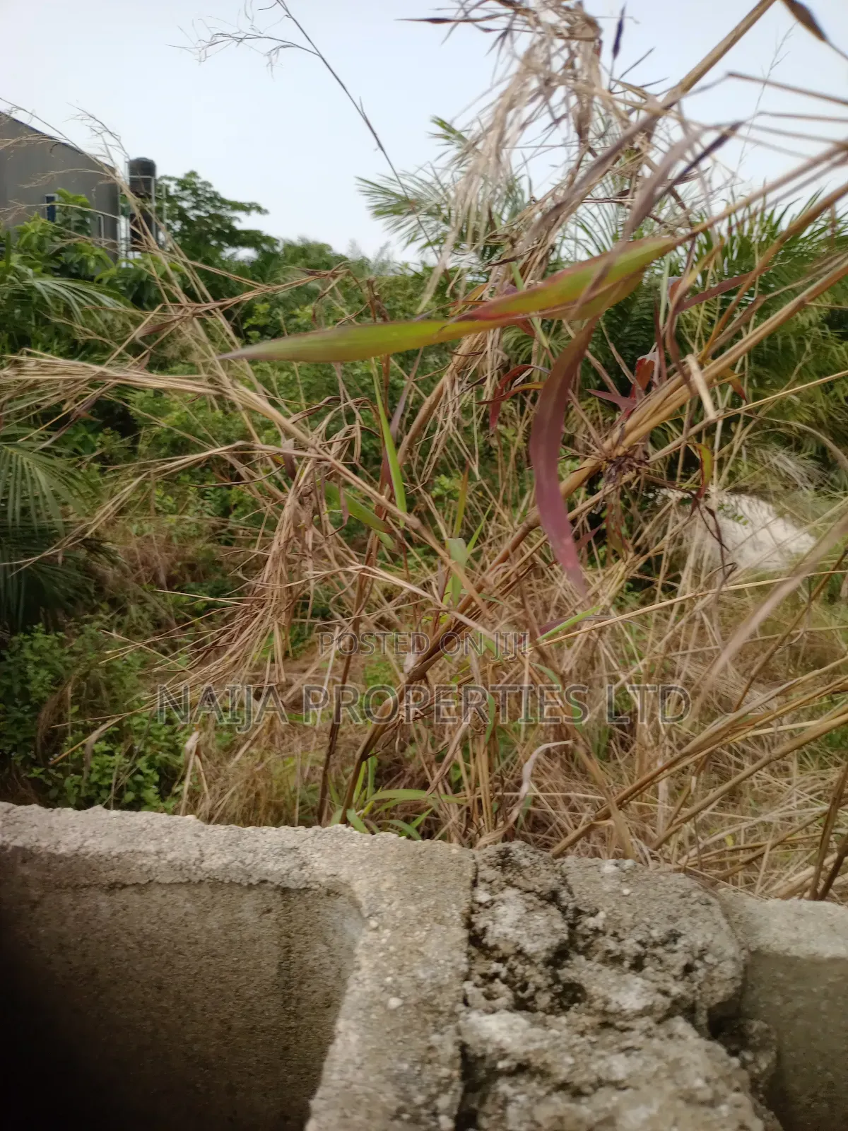 Full Plot of Land Already Fenced and Gated at Ogogoro,Awoyaya