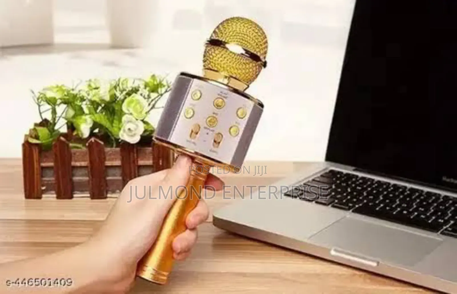 Wirless Microphone Wifi Bluetooth Speaker