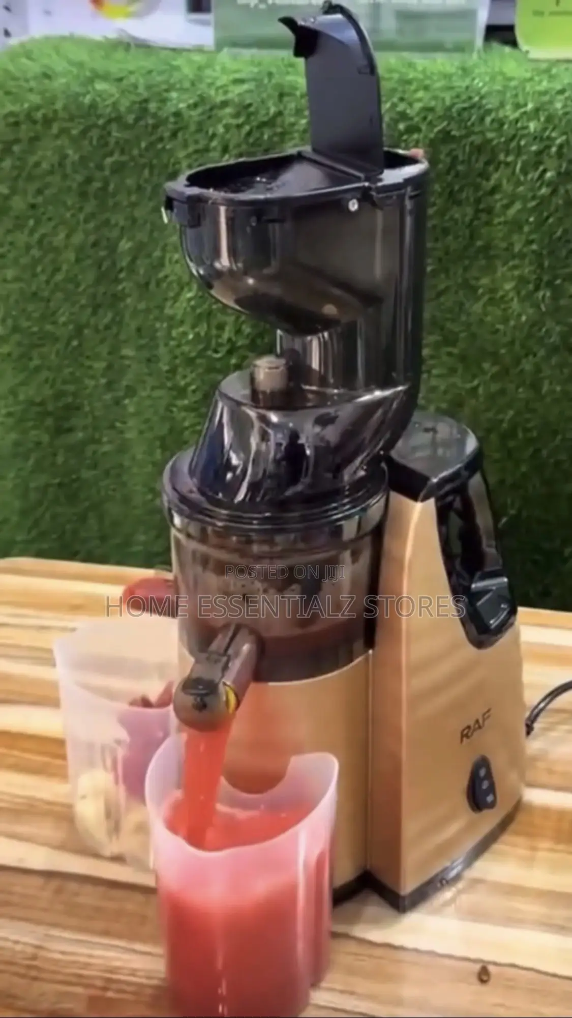Raf Slow Juicer Smoothie Maker - Juice Blender