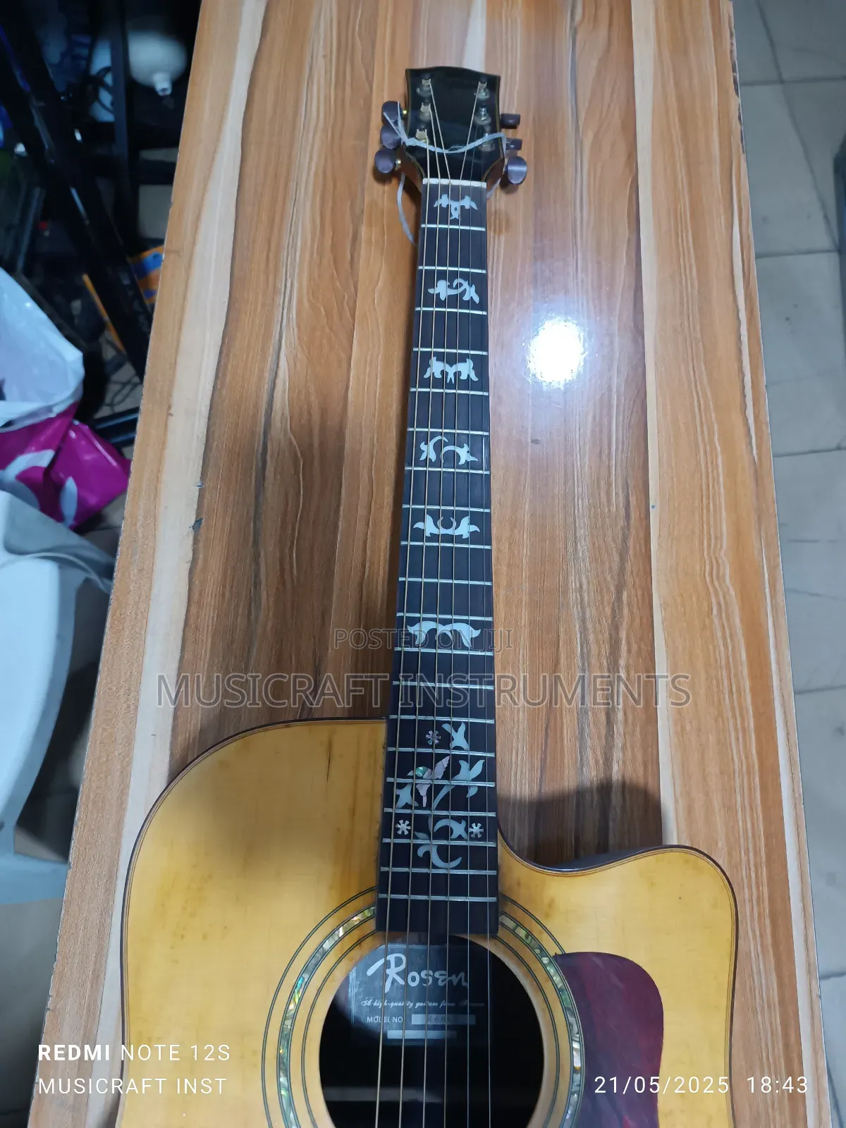 Rosen Electro-Acoustic/Semi-Acoustic Guitar