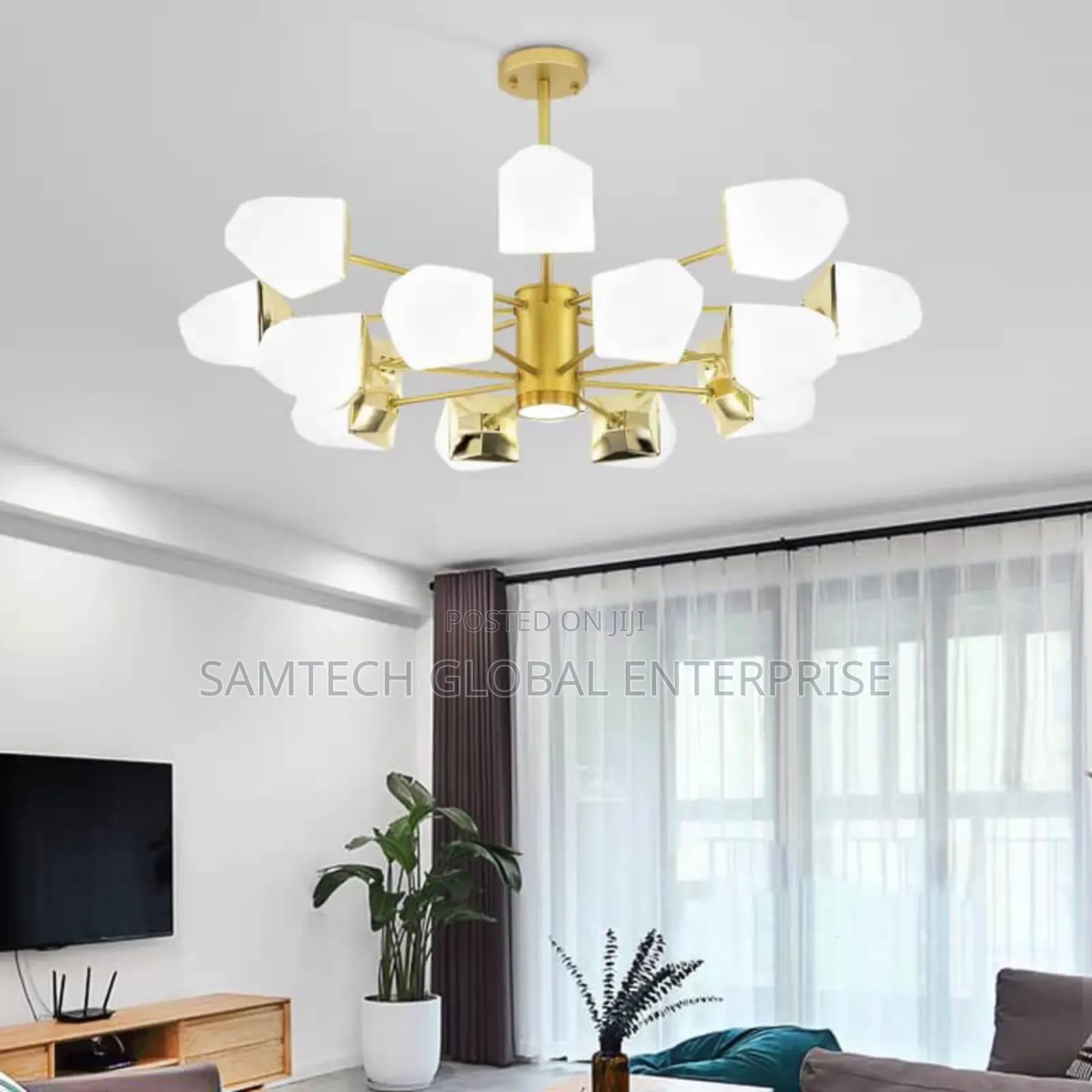 Exotic Chandelier Light