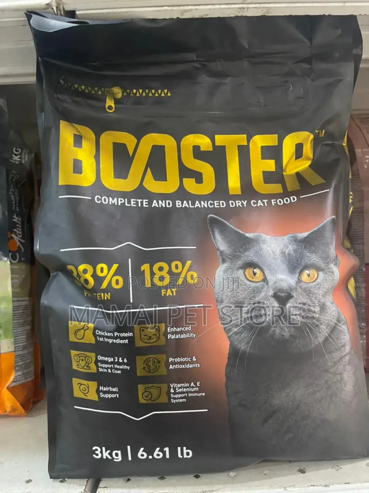 Cat/ Kitten Dry Food