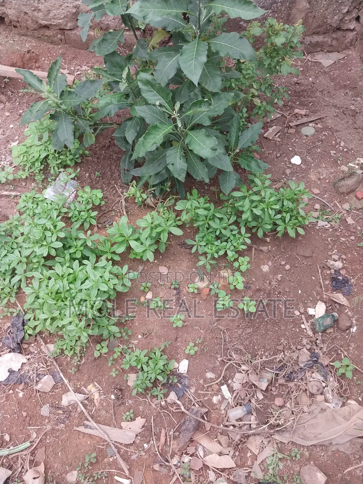 3 Acres of Dry Land (Roi ) Near the Rd Vespa Janikin Agbara