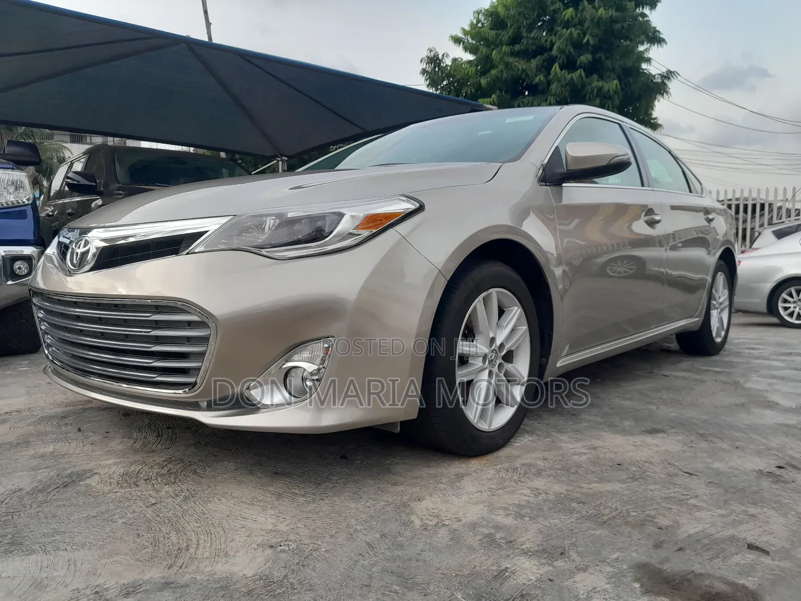 Toyota Avalon XLE Premium 4dr Sedan (3.5L 6cyl 6A) 2014 Gold