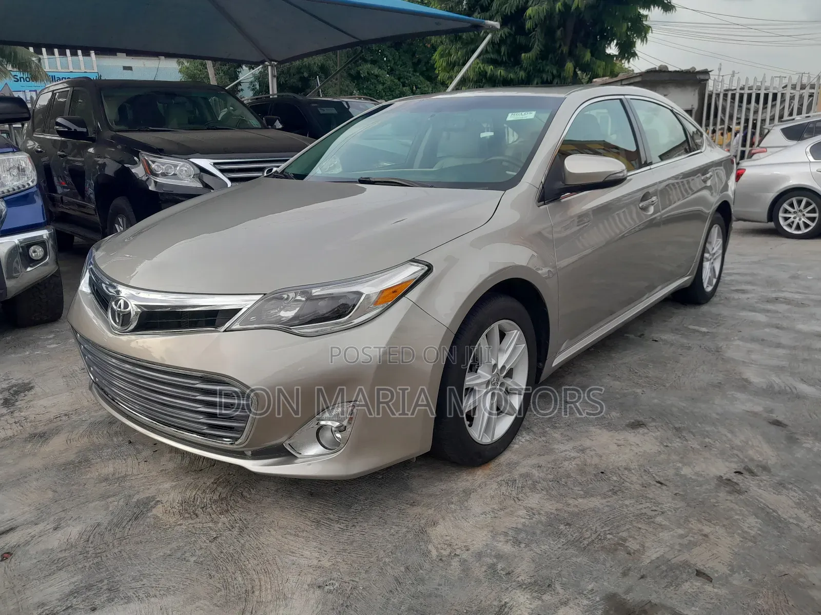 Toyota Avalon XLE Premium 4dr Sedan (3.5L 6cyl 6A) 2014 Gold