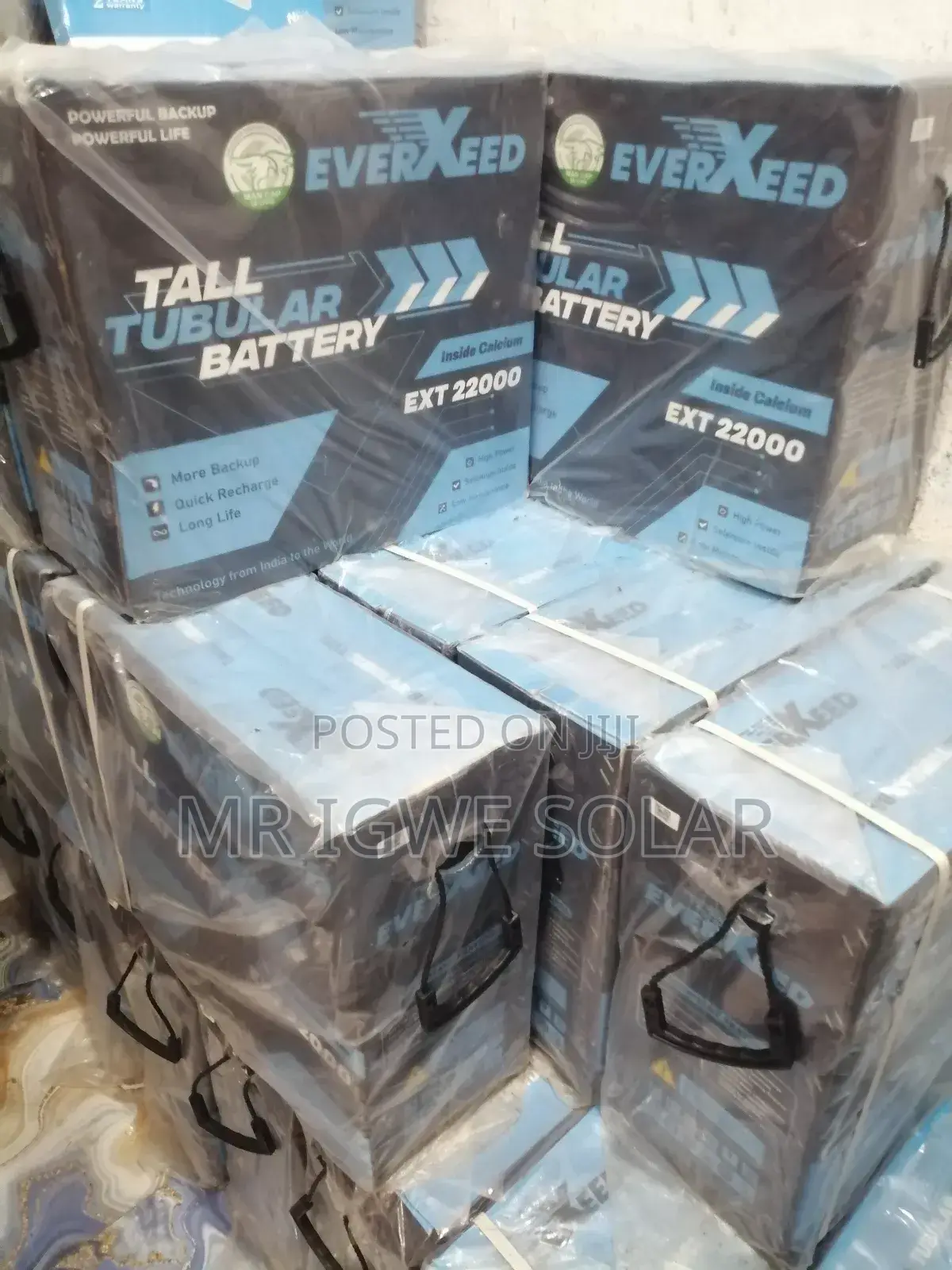 Everxeed Tall Tubular Battery 220ah