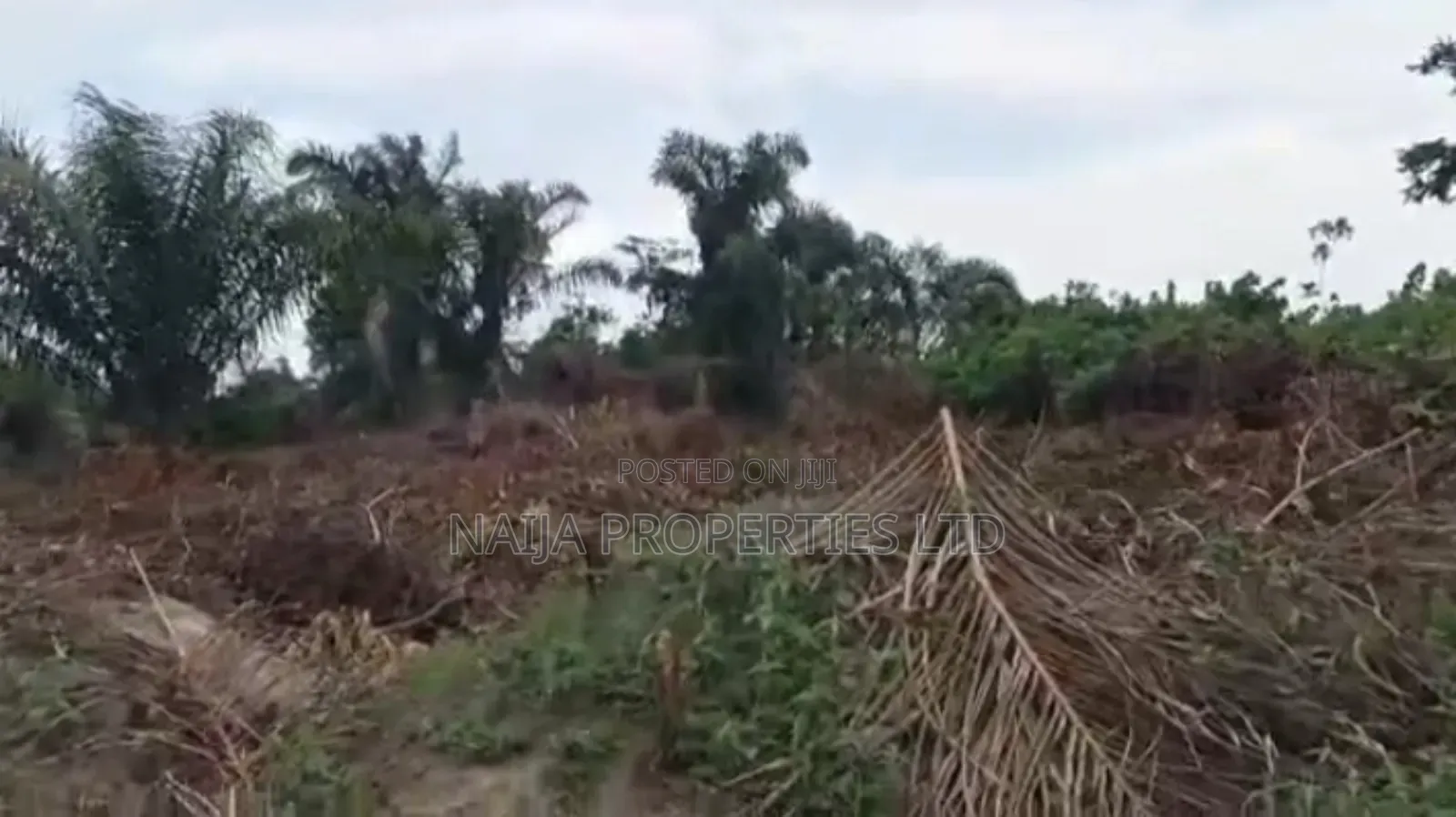 1000sqm of Land at Ajayi Apata Estate, Sangotedo for Sale