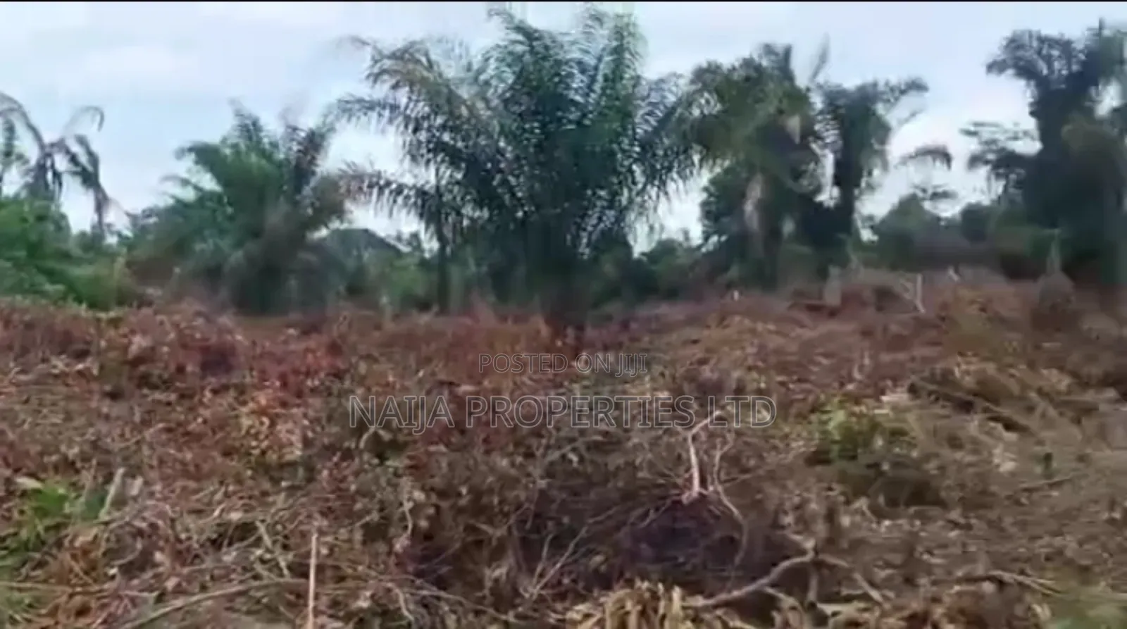 1000sqm of Land at Ajayi Apata Estate, Sangotedo for Sale