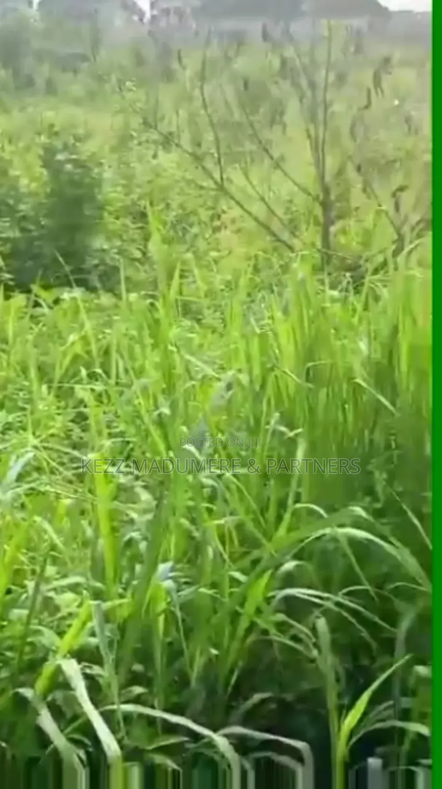 For Sale : Fenced 8 Plots at Cedarwood Estate Sars Road Ph