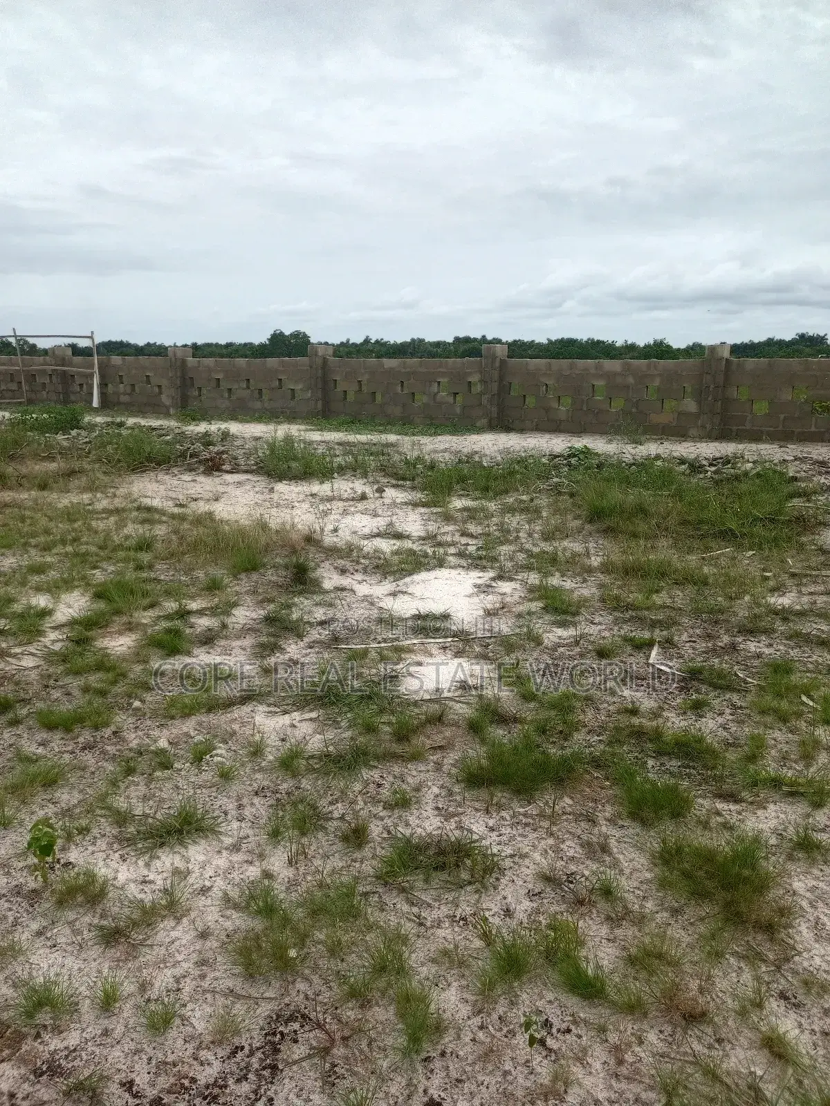 Buy 1 Acre and 1 Plot Free Iladi Ibefun Ogun State