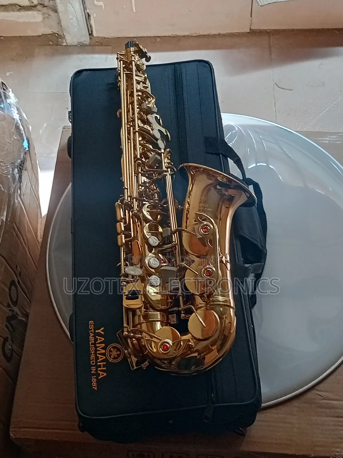 Alto Saxophone Gold With Accessories