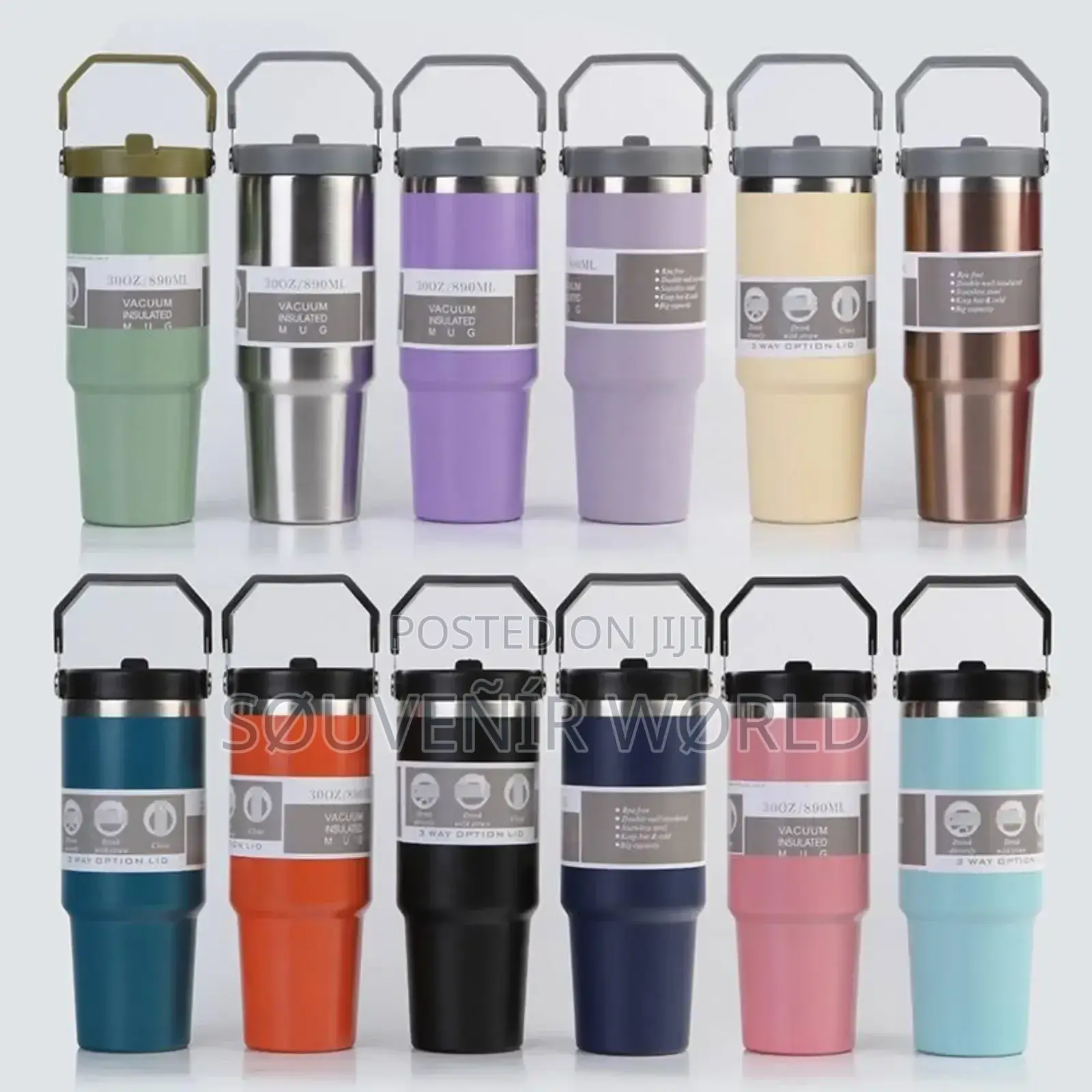 Temperature Insulated Water Flask