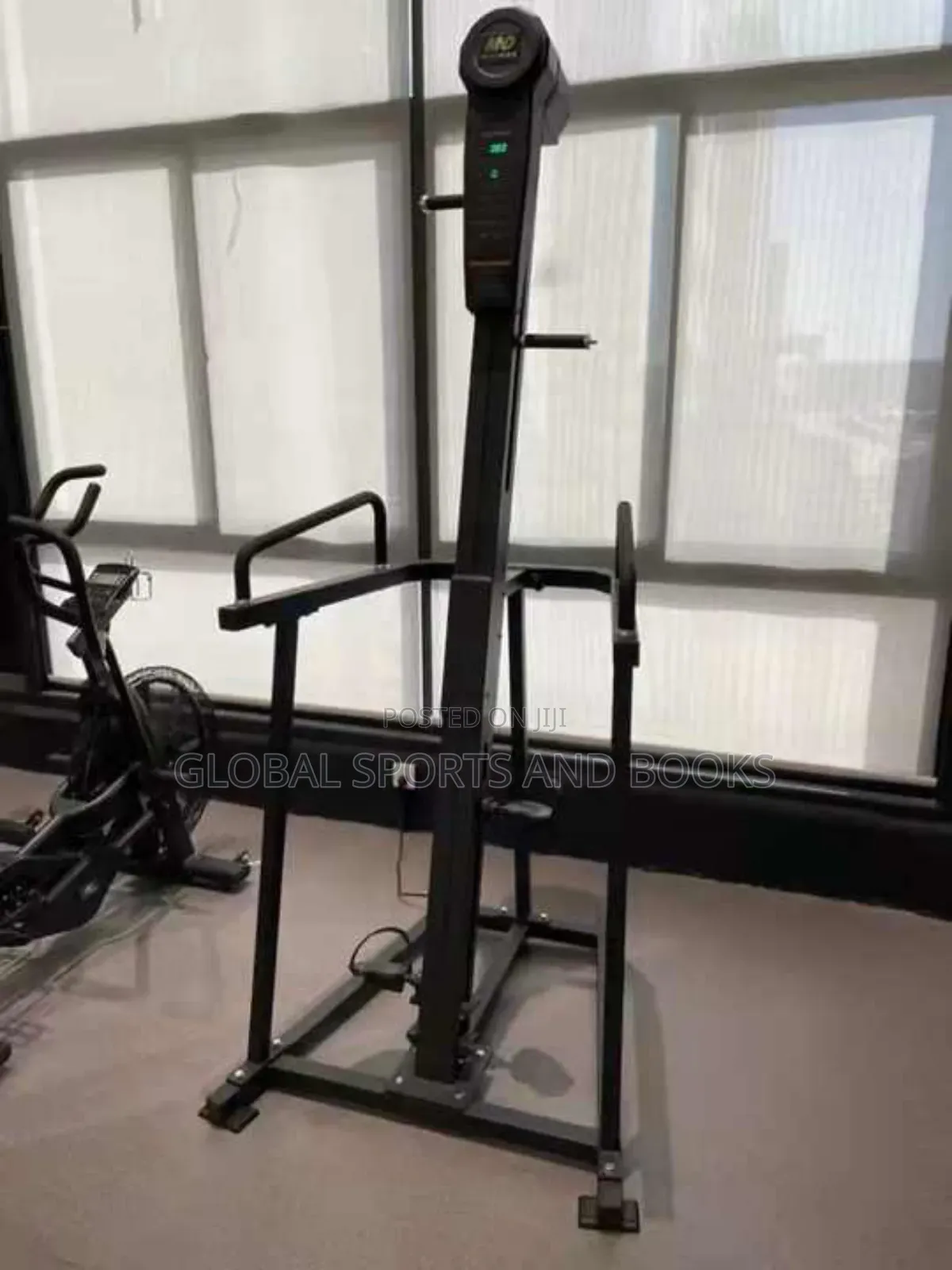 Commercial Step Upright Climber