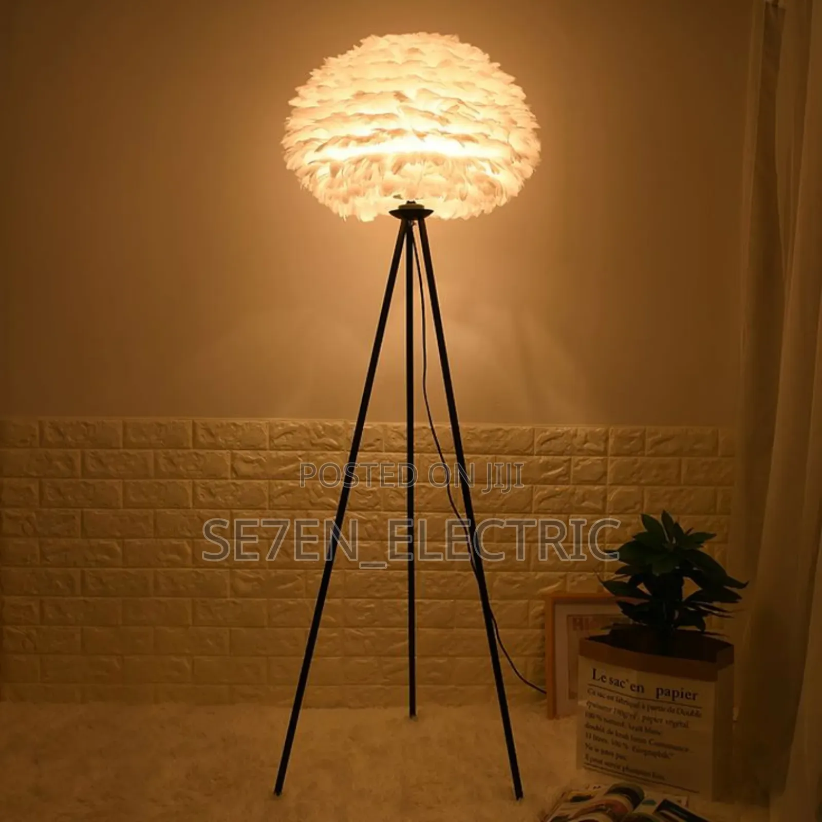 Interior Stand Lamp Ostrich Feathers.