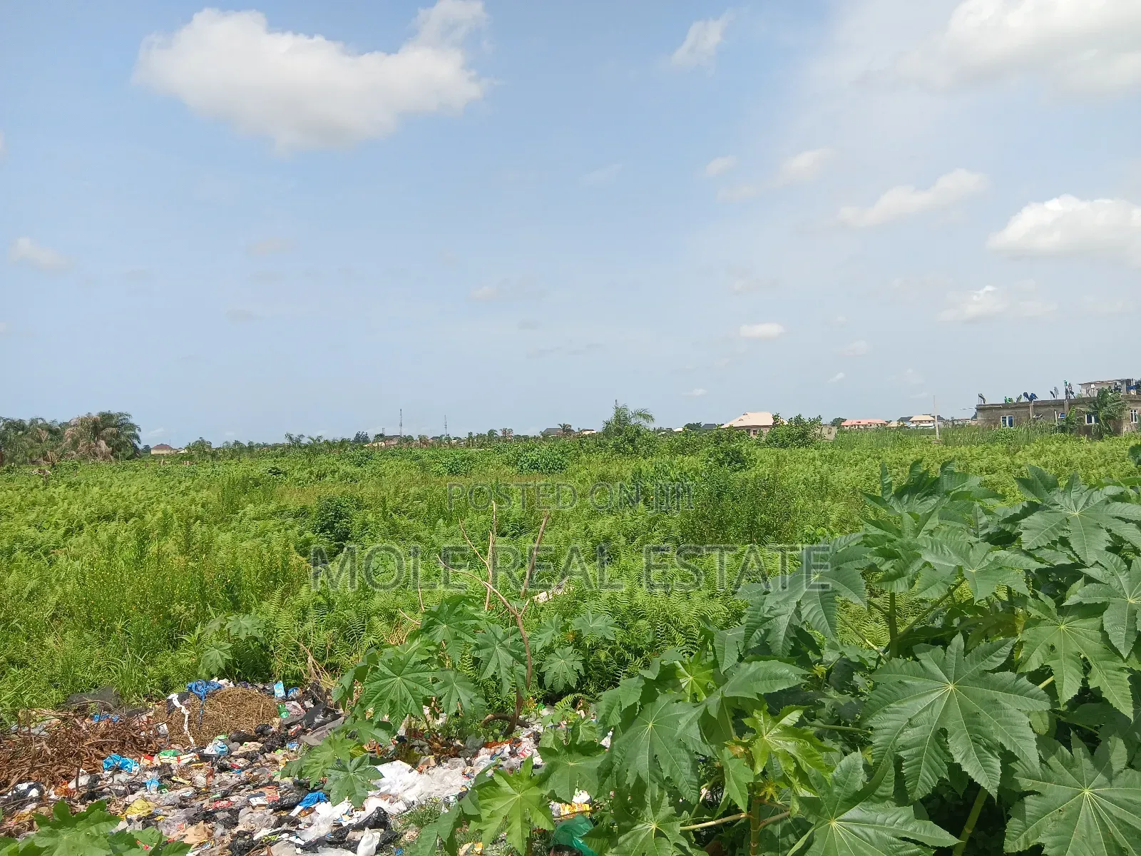 Euc Momes 600sqm Commercial Countryard Orimedu Town