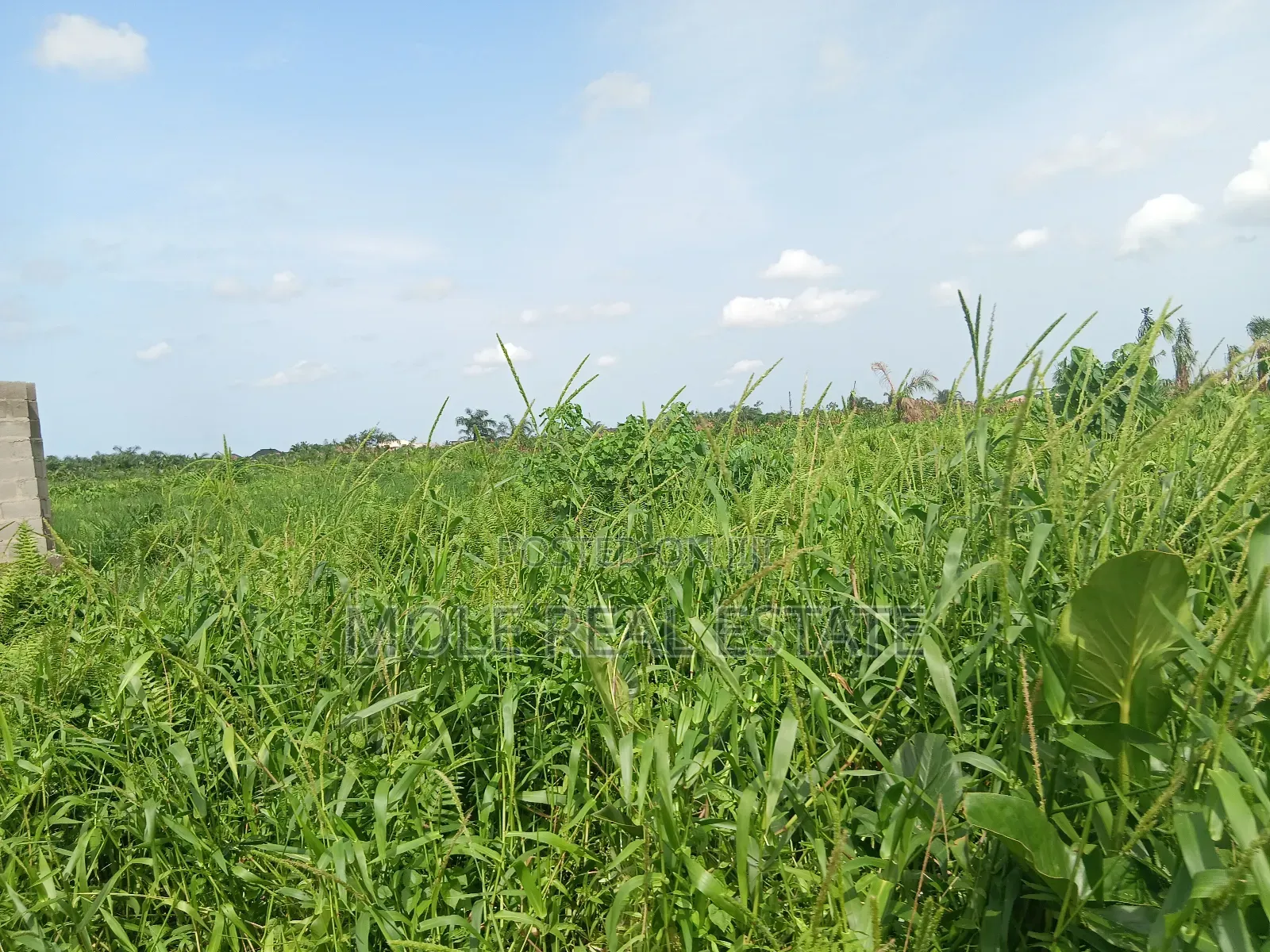Euc Homes 600sqm Cherywood Ext Leki Freetrade Zone