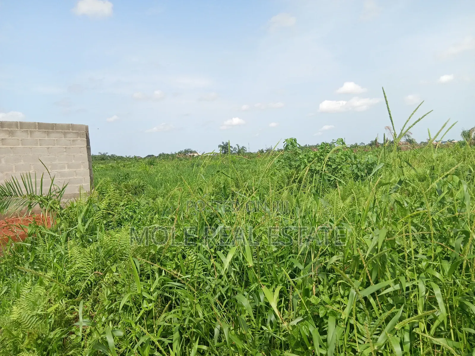 Euc Homes 600sqm Cherywood Ext Leki Freetrade Zone