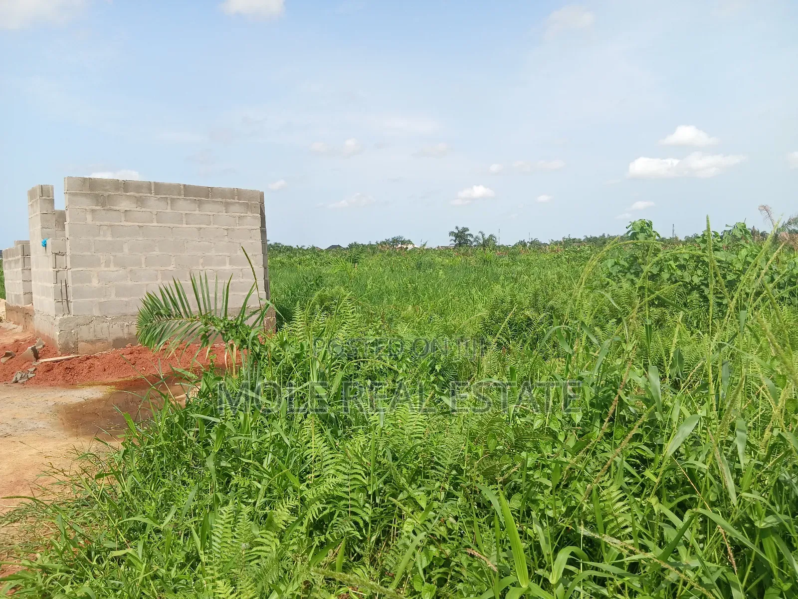 Euc Homes 600sqm Hapton Court Onosa Ibejù Leki