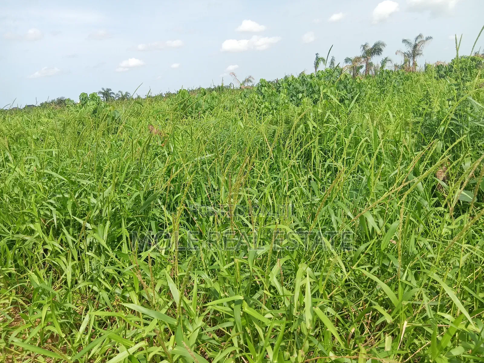Euc Homes 600sqm Hapton Court Onosa Ibejù Leki