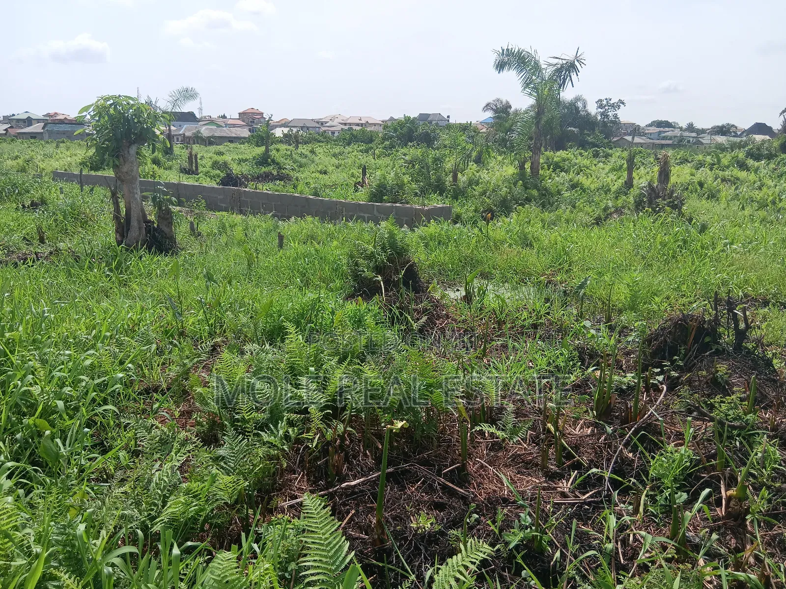 Euc Homes 600sqm Oceanwood Court Ext
