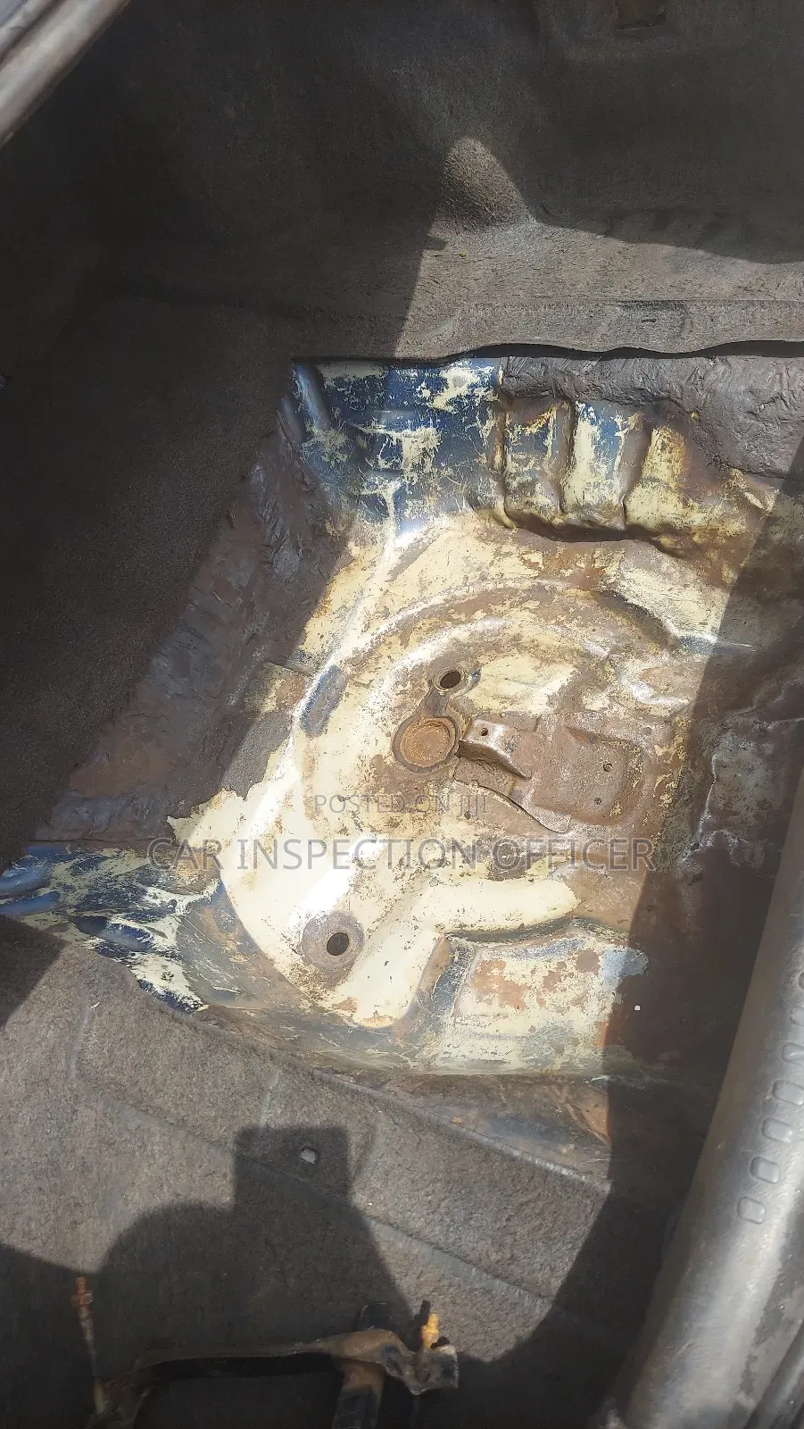 Professional Car Inspection Mechanic With Diagnostic Machine