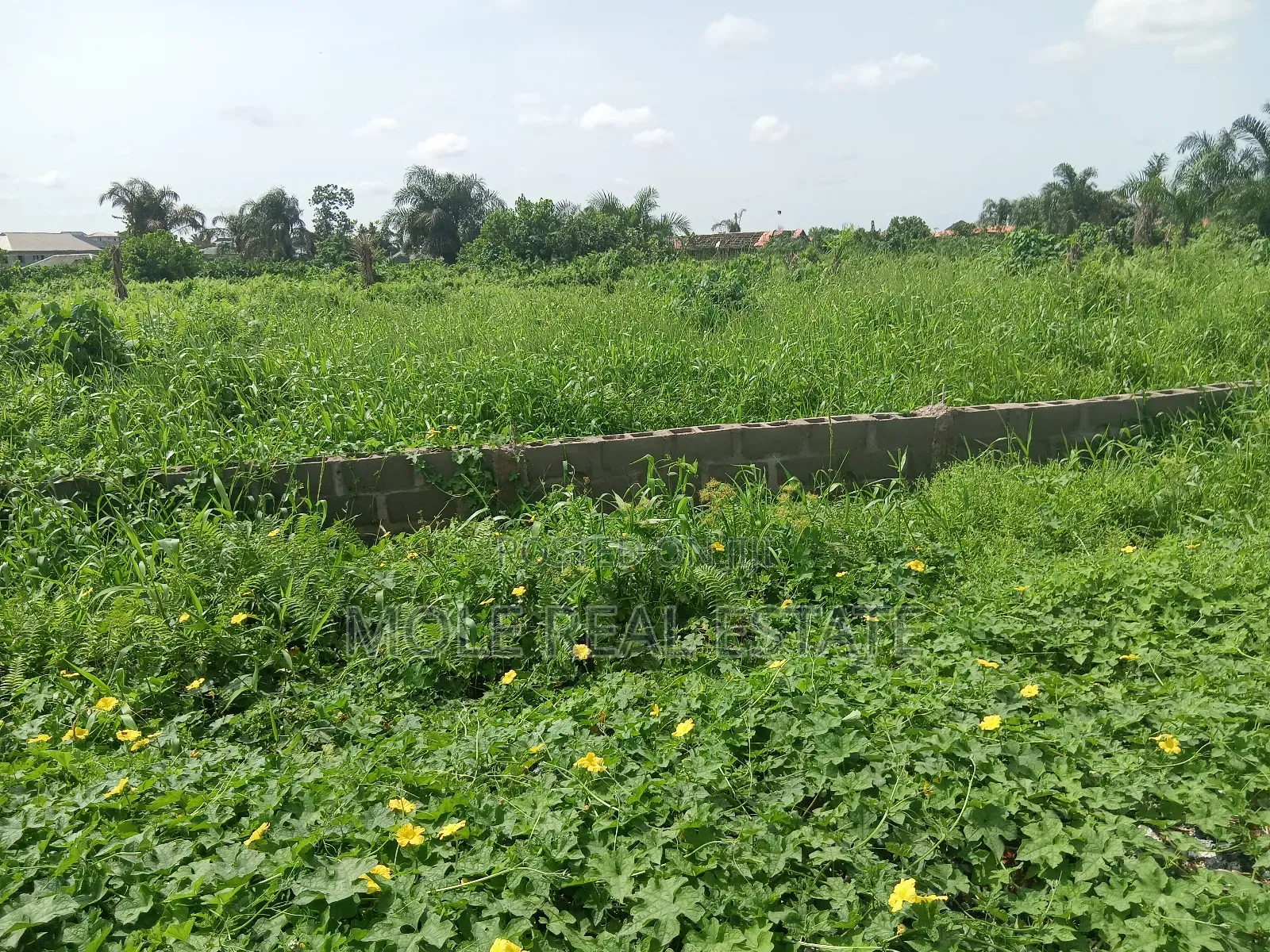 Euc Homes Springwood Courts Estate Ibeju Leki