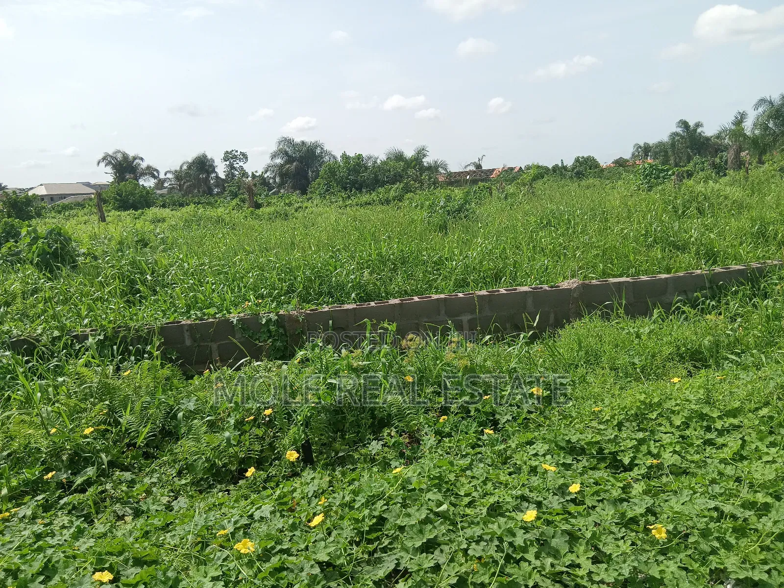 Euc Homes Springwood Courts Estate Ibeju Leki