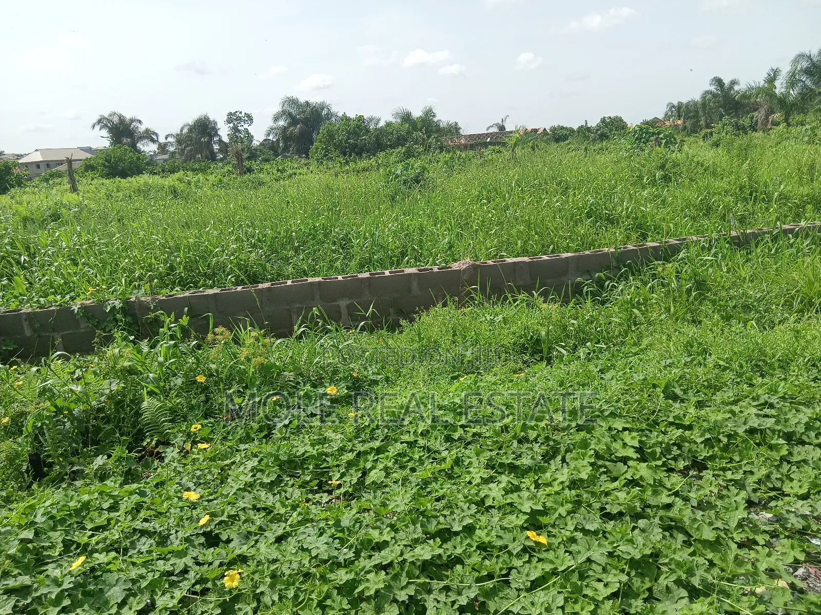 Euc Homes Springwood Courts Estate Ibeju Leki